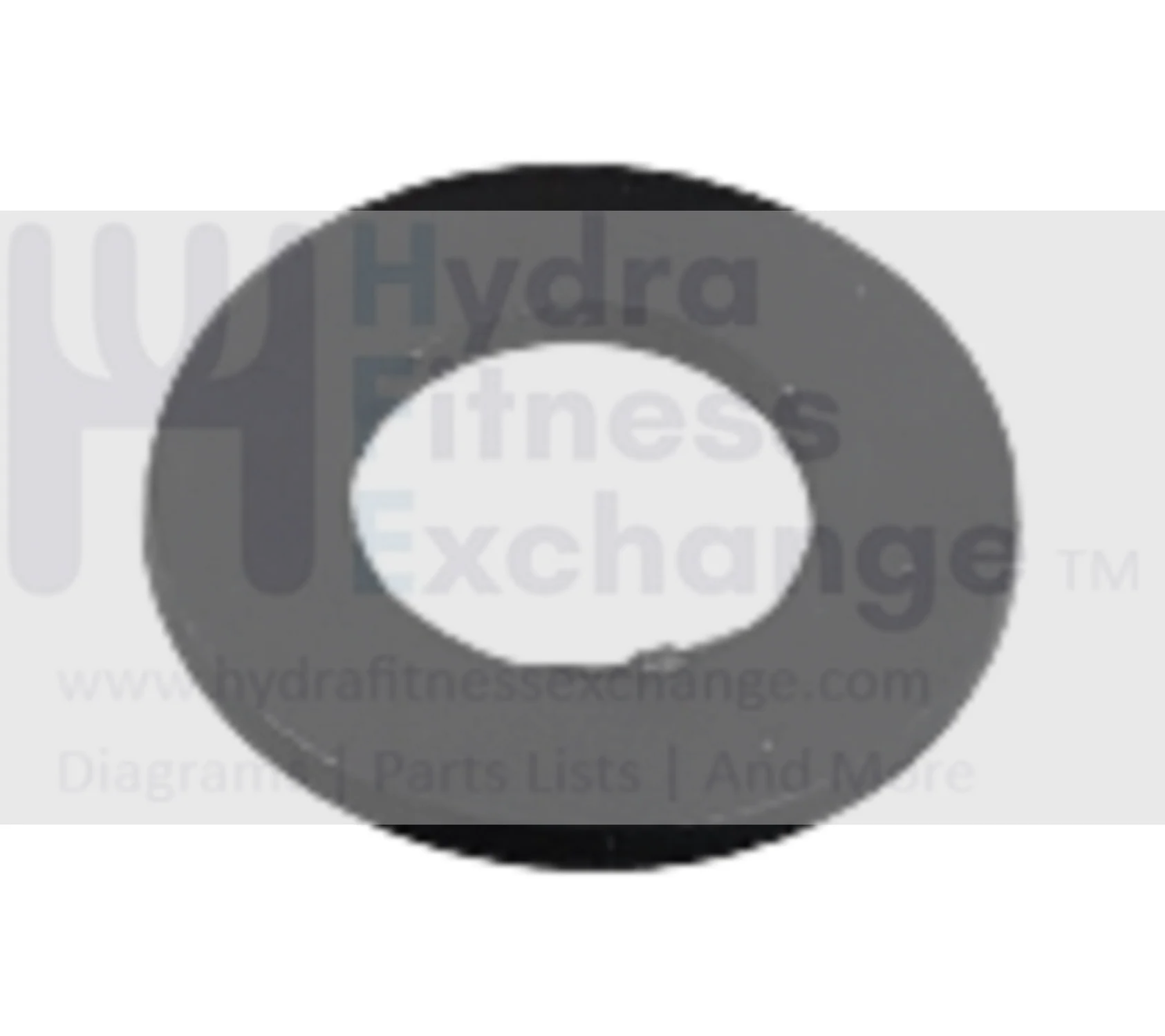 Horizon Fitness IC7.9 - FC062 Stationary Bike Black Flat Washer 1000414041