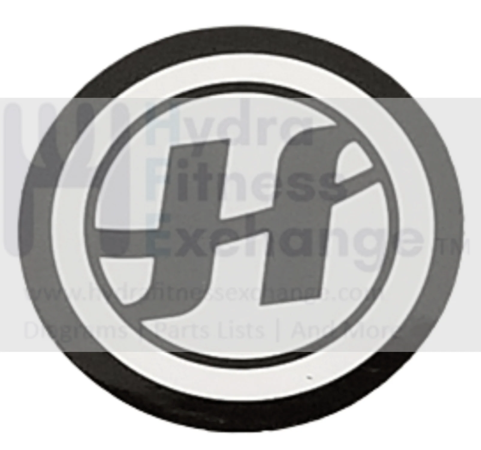 Horizon Fitness IC7.9 - FC062 Stationary Bike Brake Pad Horizon Logo Decal 1000447753