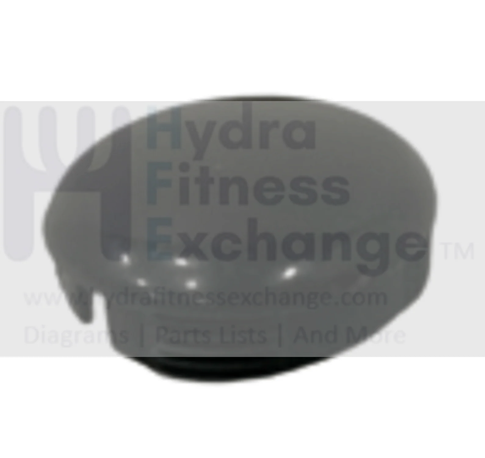 Horizon Fitness IC7.9 - FC062 Stationary Bike Crank Arm EndCap 1000457065