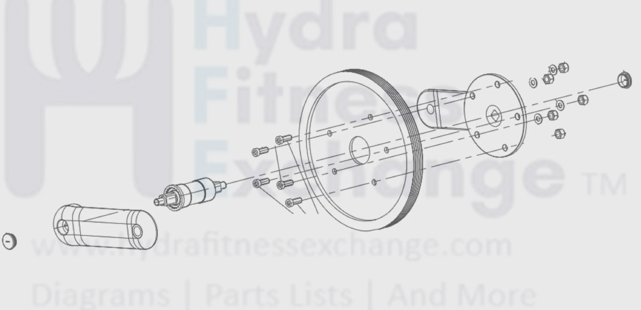 Horizon Fitness IC7.9 - FC062 Stationary Bike Crank Axle Set 1000413995