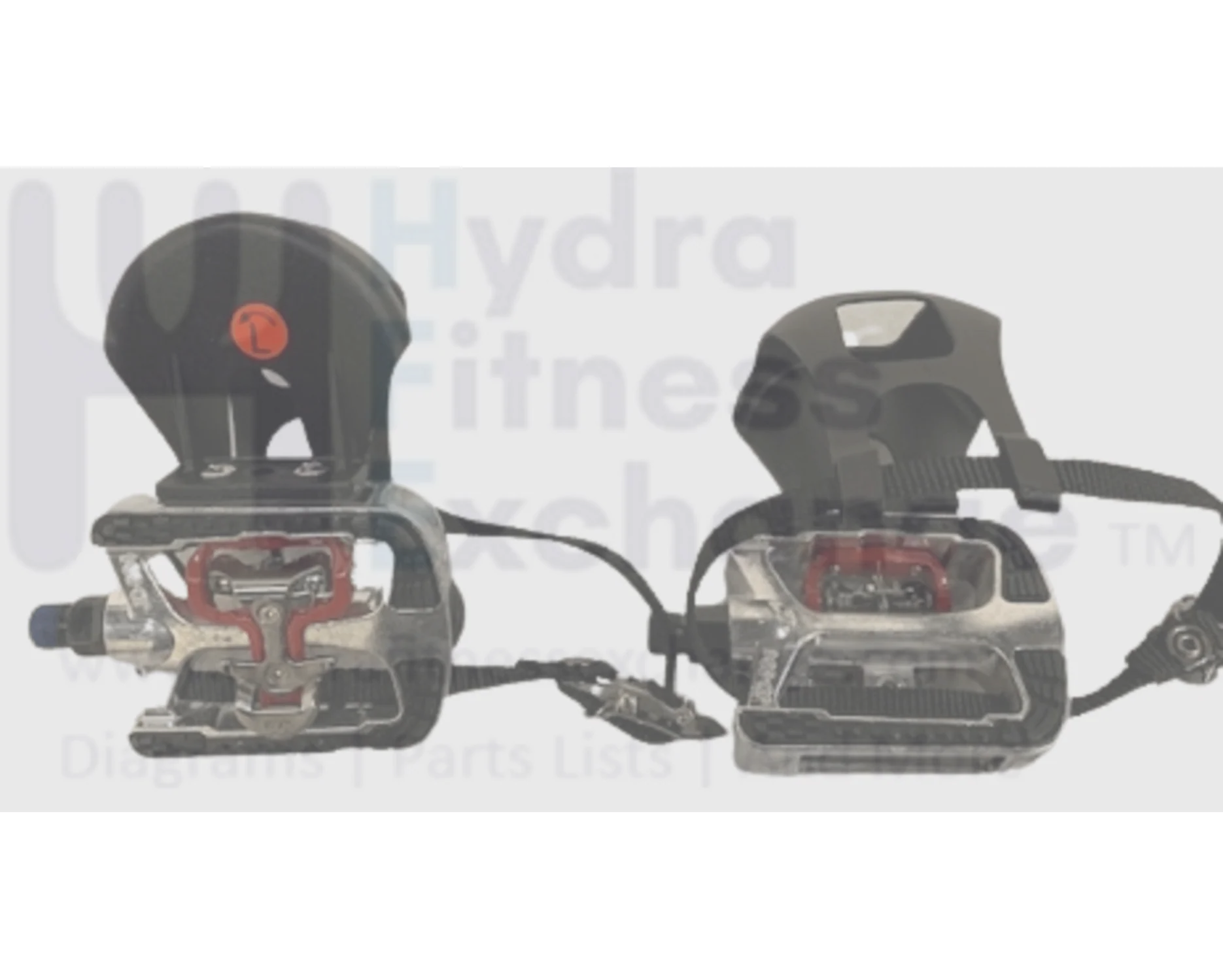 Horizon Fitness IC7.9 - FC062 Stationary Bike Foot Padel Pair with Strap 1000414042