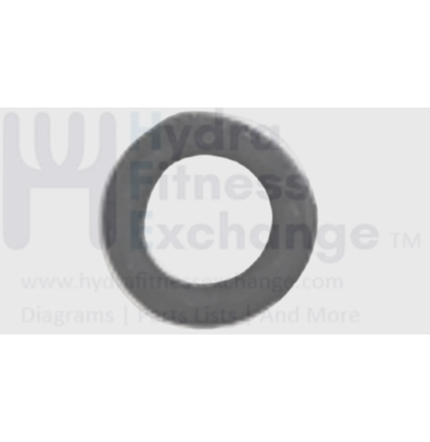Horizon Fitness IC7.9 - FC062 Stationary Bike Washer 1000413966