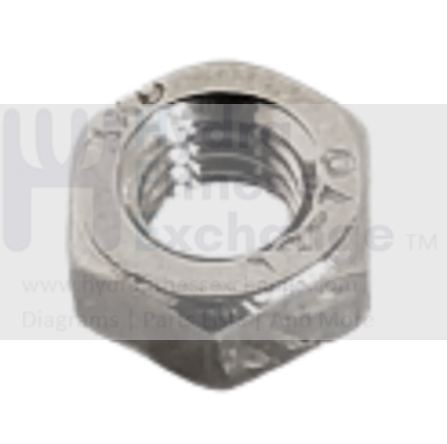 Horizon Fitness IC7.9 - FC062 Stationary Bike Lock Nut 1000362446