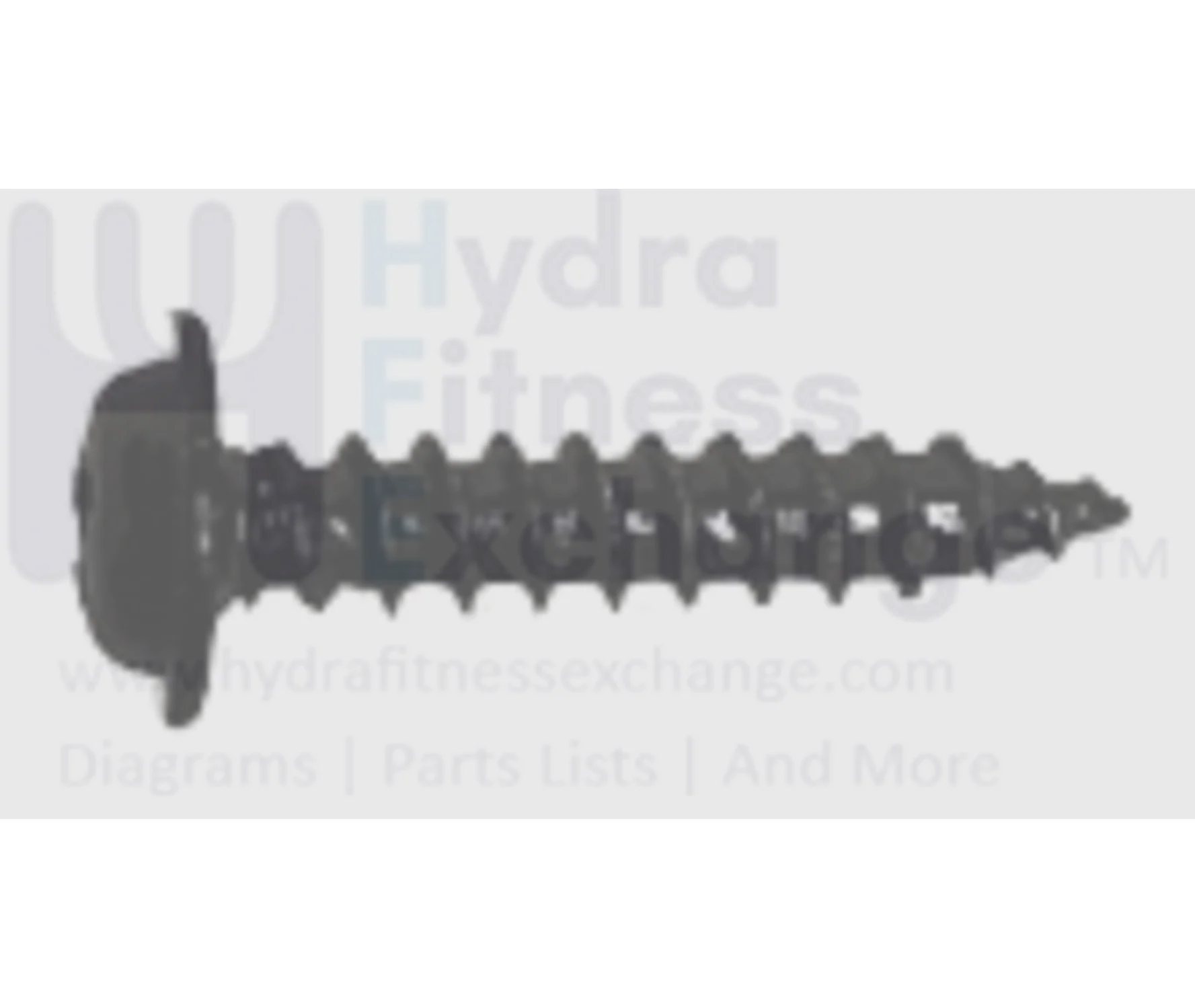 Horizon Fitness IC7.9 - FC062 Stationary Bike Phillip Head Screw 1000413952