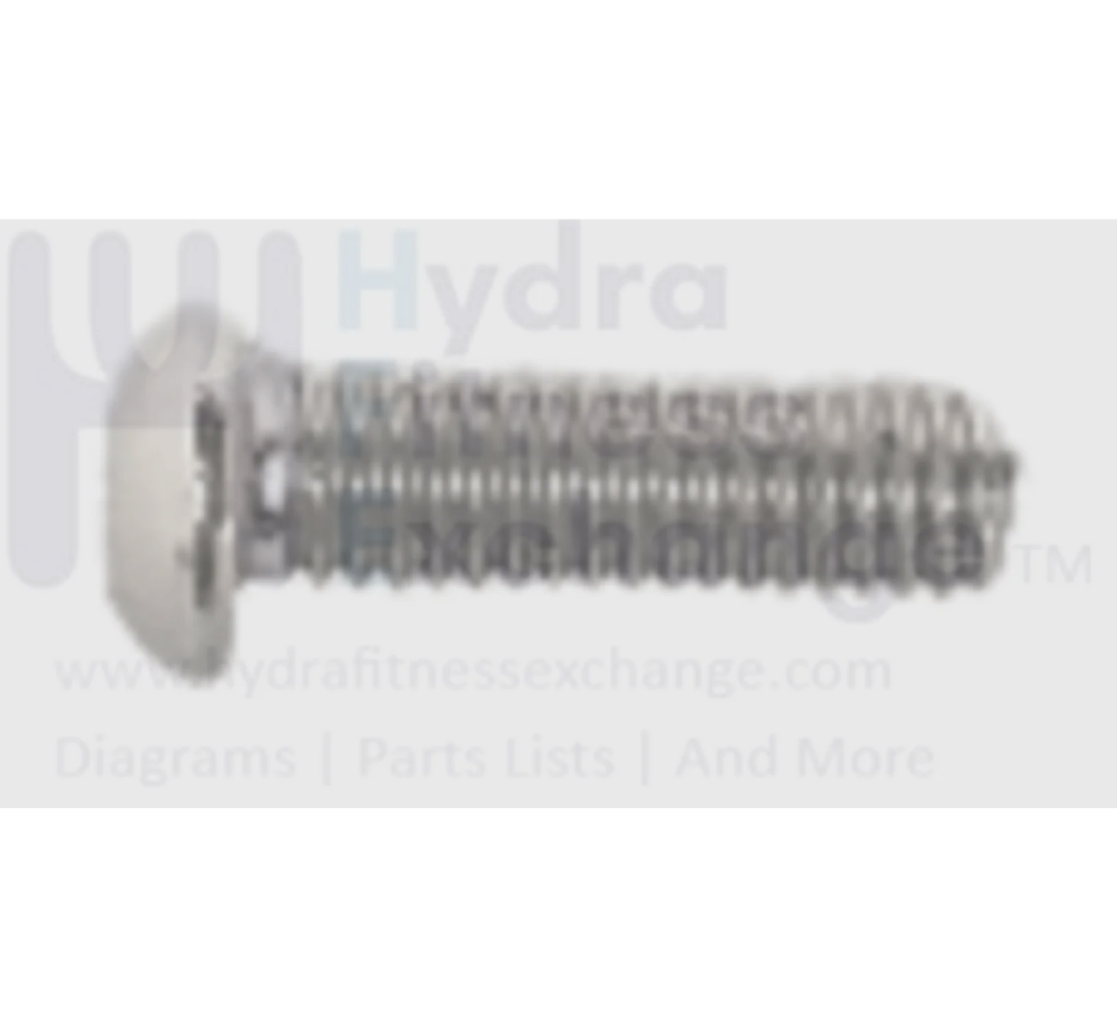 Horizon Fitness IC7.9 - FC062 Stationary Bike Phillip Head Screw 1000414039