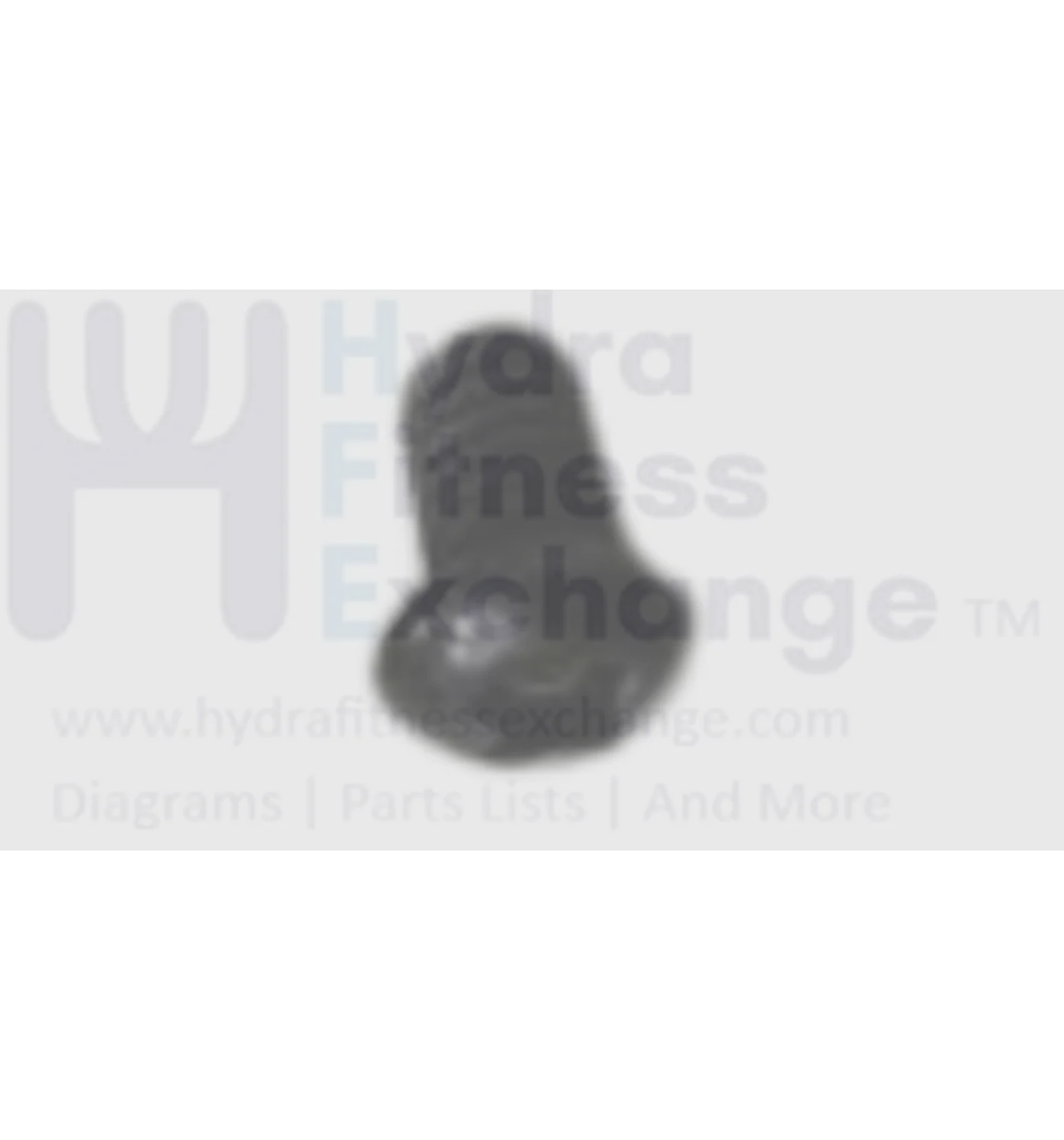 Horizon Fitness IC7.9 - FC062 Stationary Bike Phillips Head Screw 1000442971