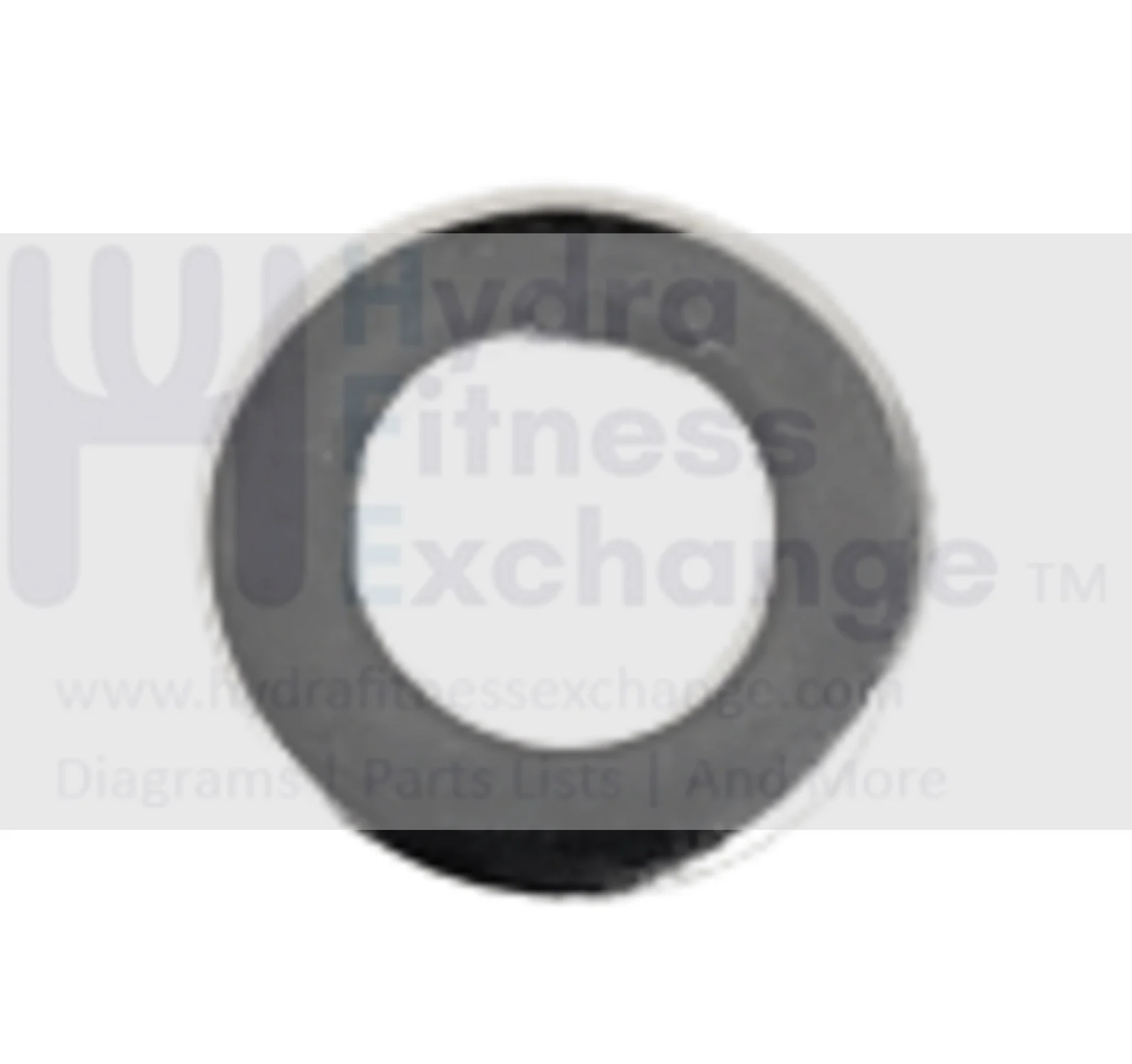 Horizon Fitness IC7.9 - FC062 Stationary Bike Spring Washer 1000414003