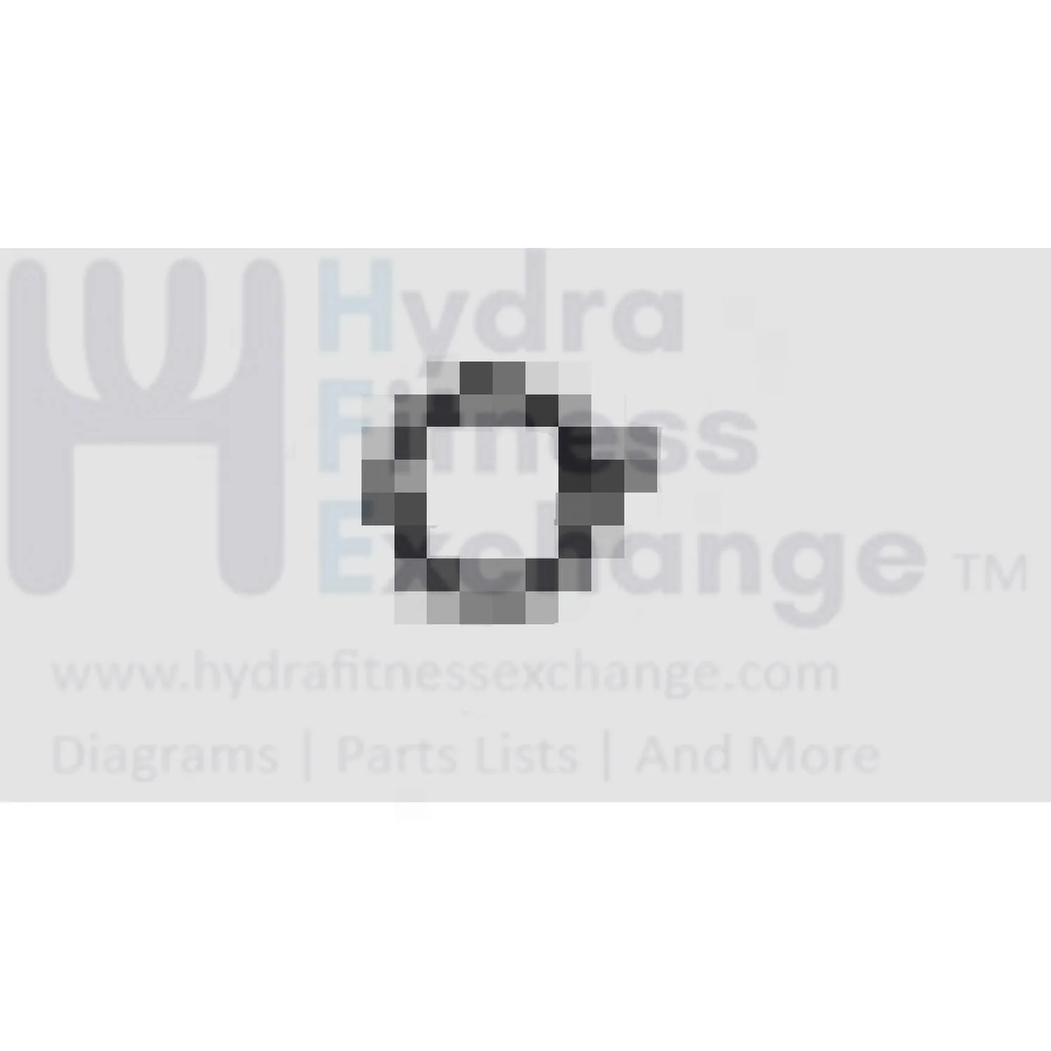Horizon Fitness IC7.9 - FC062 Stationary Bike Steel Ball 1000442985