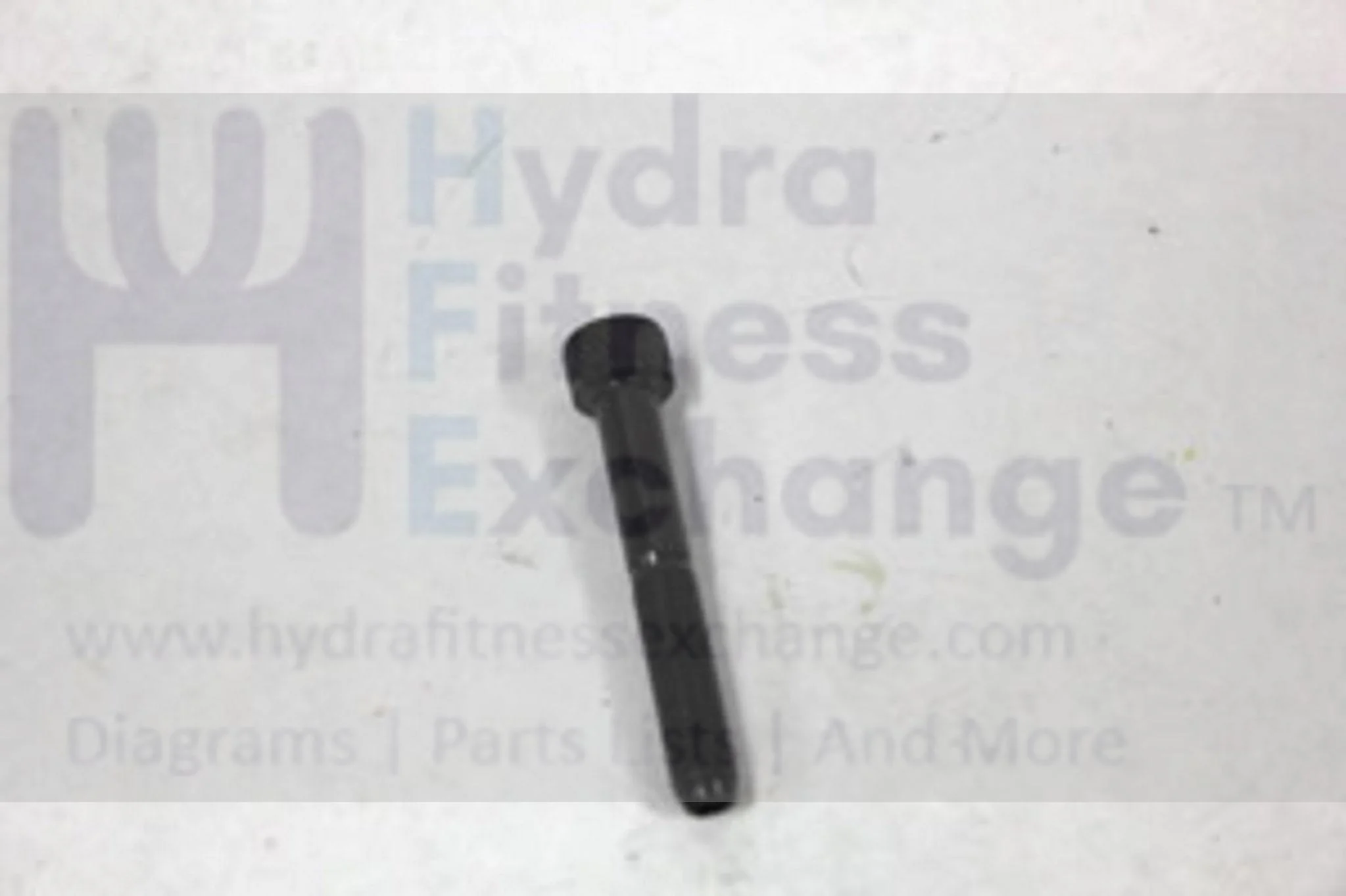 Matrix Fitness Upright Bike Hex Socket Round Screw M8 - 1.25P x 55L 004488-AC - Image 2
