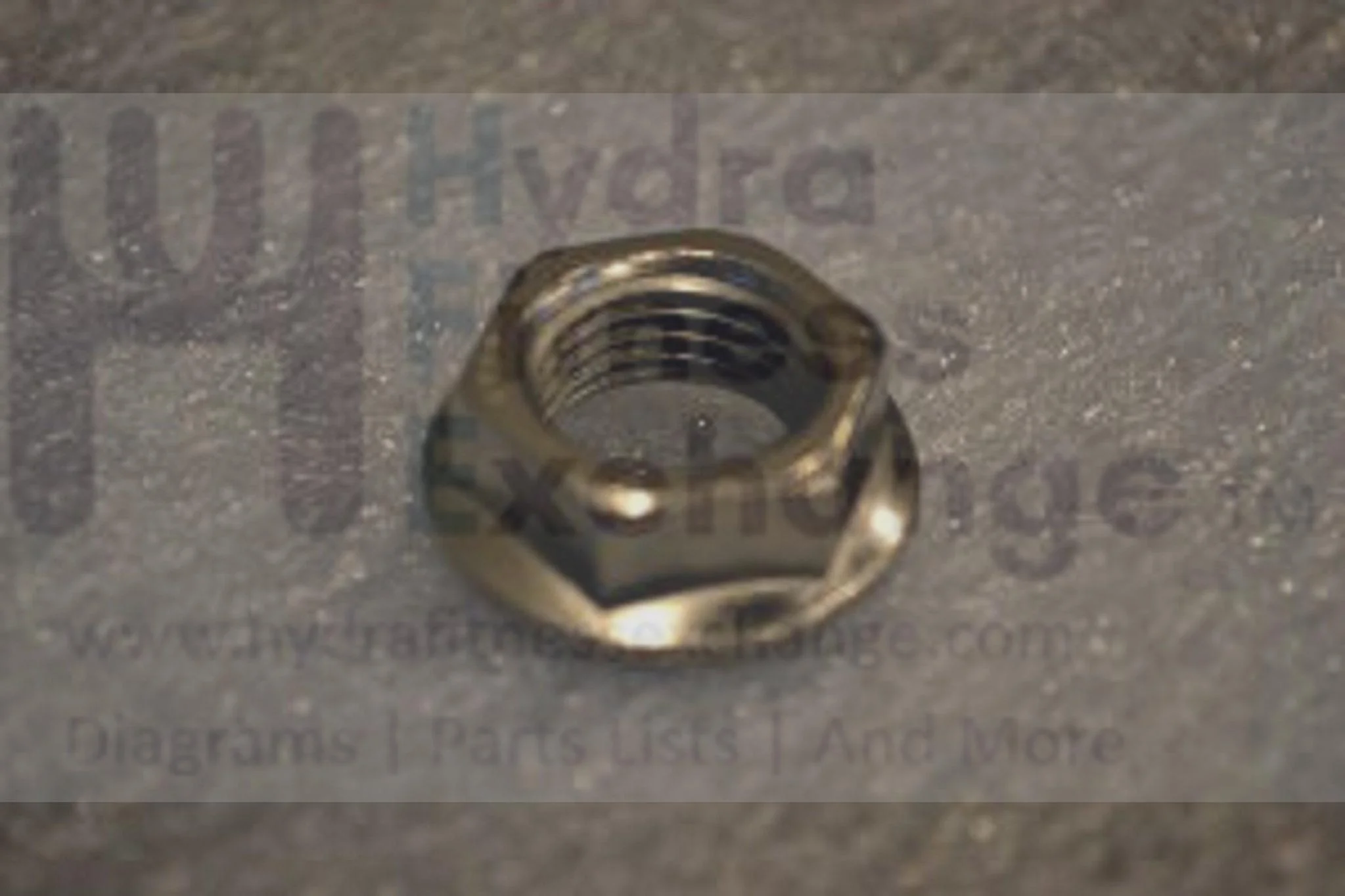 Horizon Fitness CE5.1 E1100GS EX58 EX59 EX68 EX78 LS12.9E LS7.9E LS9.9E Elliptical Hex Flange Nut M14x1.5P 1000205915 - Image 2