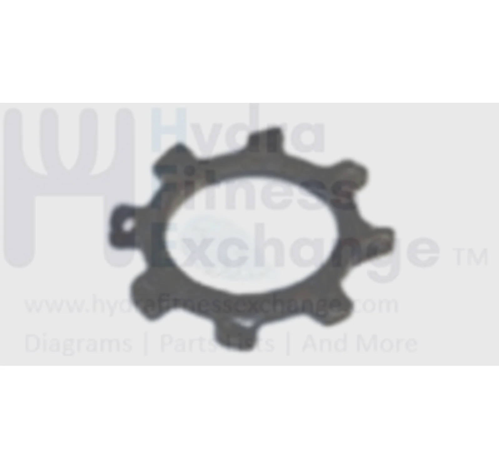 Horizon Fitness Livestrong Elliptical Outside Sawtooth Lock Washer 1000105761