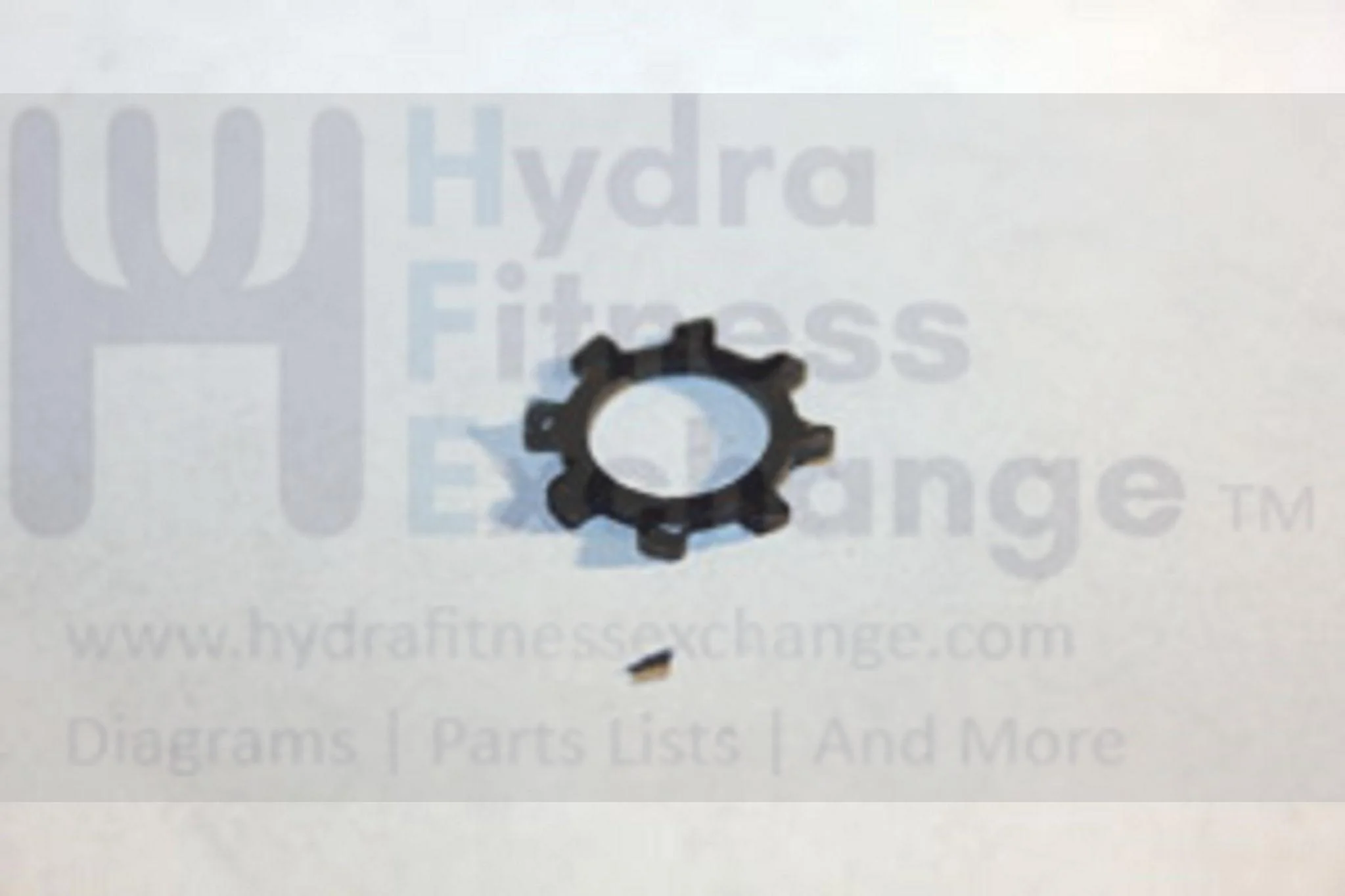 Horizon Fitness Livestrong Elliptical Outside Sawtooth Lock Washer 1000105761 - Image 2