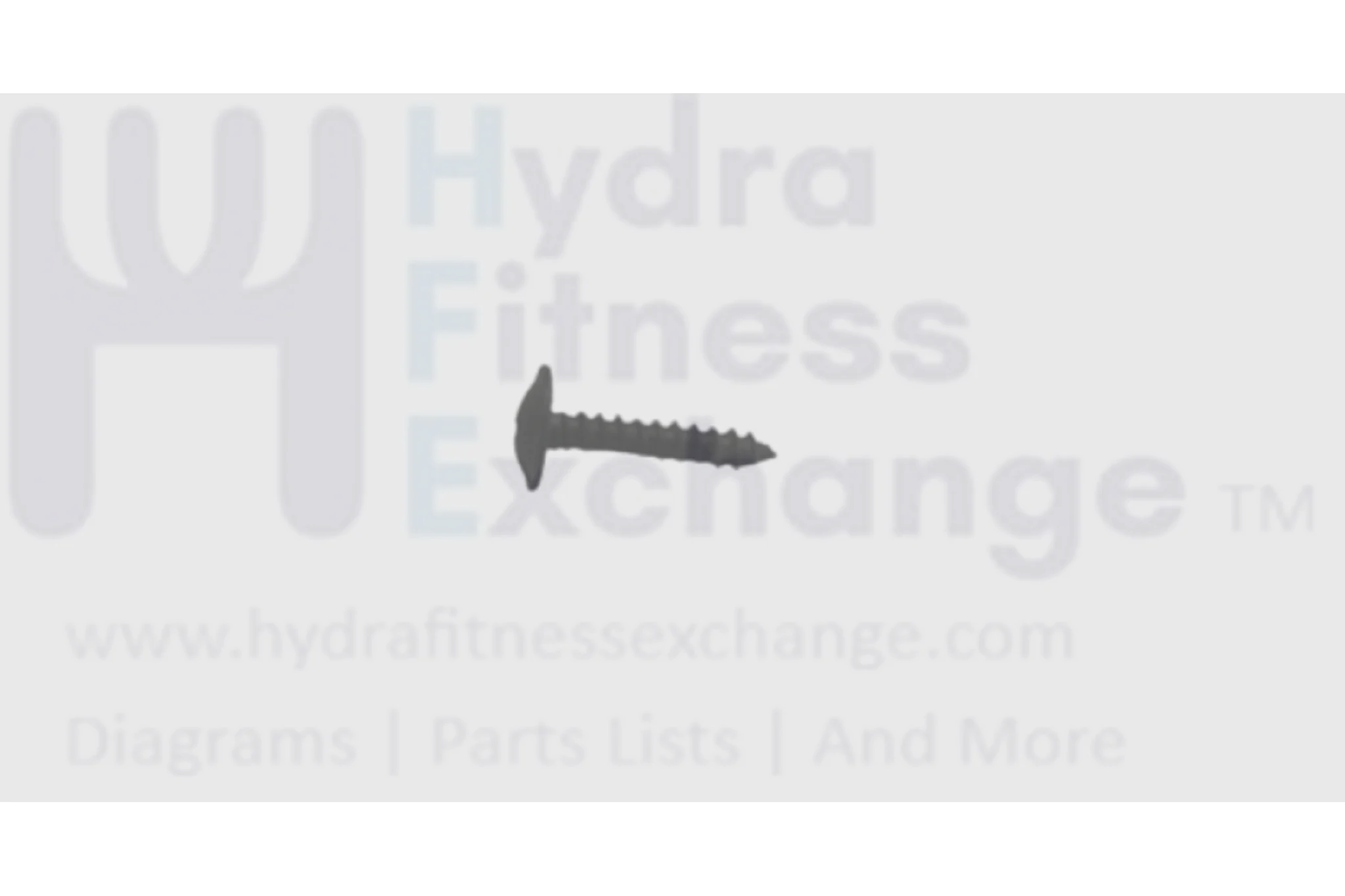 Horizon Fitness Livestrong Treadmill Umbrella Cross Tapped Screw 4x20l 049280-A