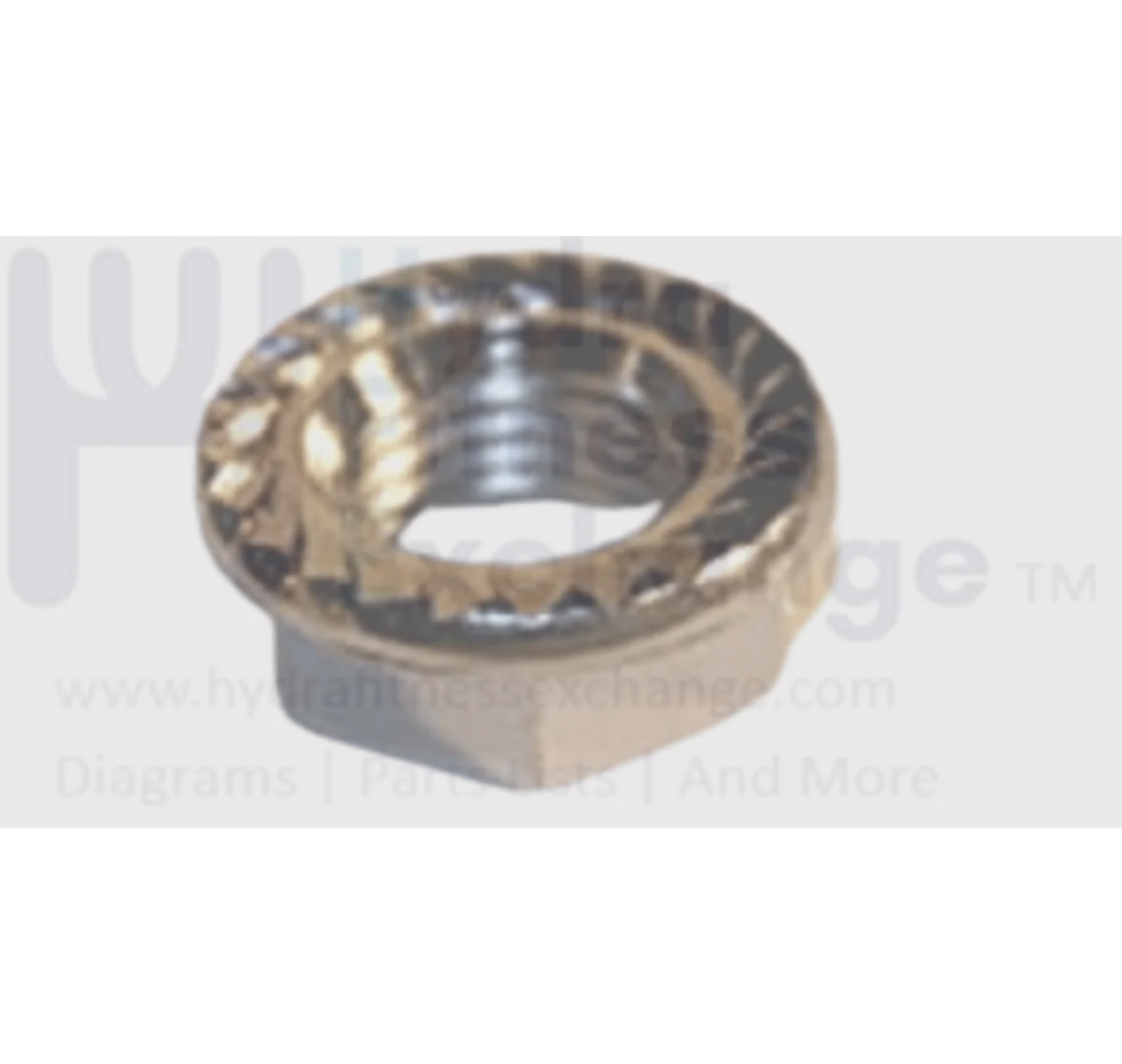 Horizon Fitness Livestrong Vision Fitness Elliptical Hex Flange Nut M14x1.5Px10L 1000110978