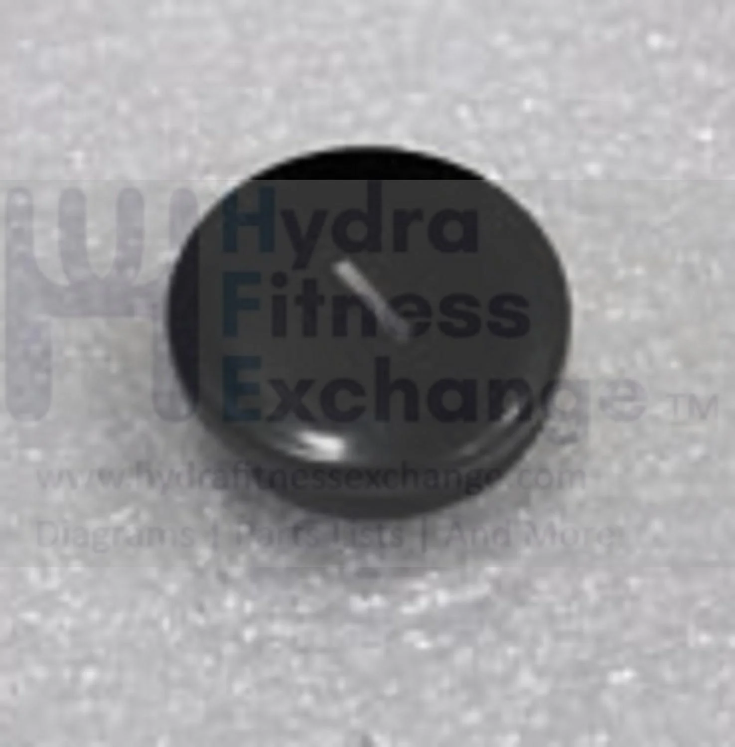 Horizon Fitness M4 - FC009 Stationary Bike Crank End Cap 1000220540