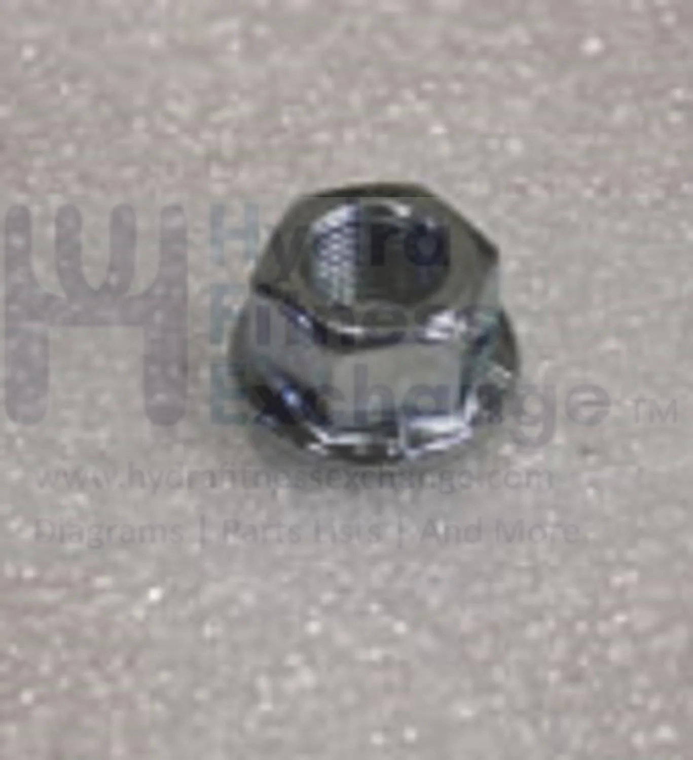 Horizon Fitness M4 - FC009 Stationary Bike Flag Nut 1000220522