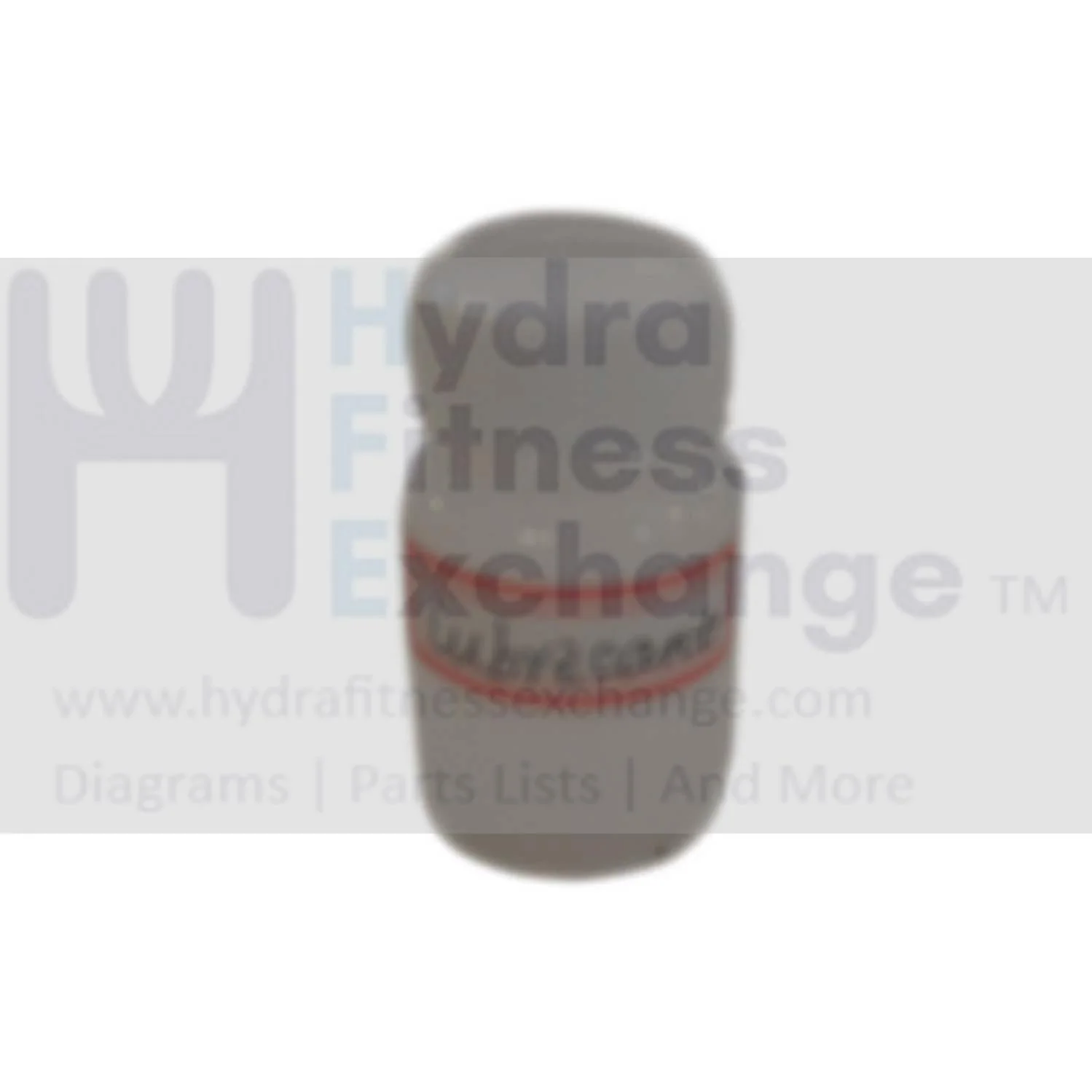 Horizon Fitness M4 - FC009 Stationary Bike Lubrication Silicon 1000228448