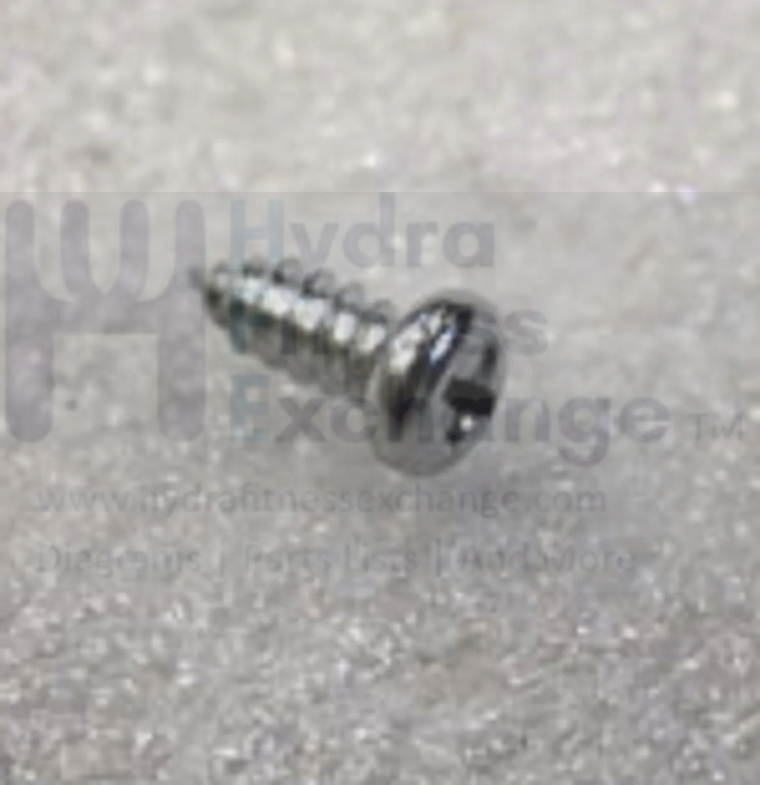 Horizon Fitness M4 - FC009 Stationary Bike Self Tapped Screw 4.8x12L 1000222069