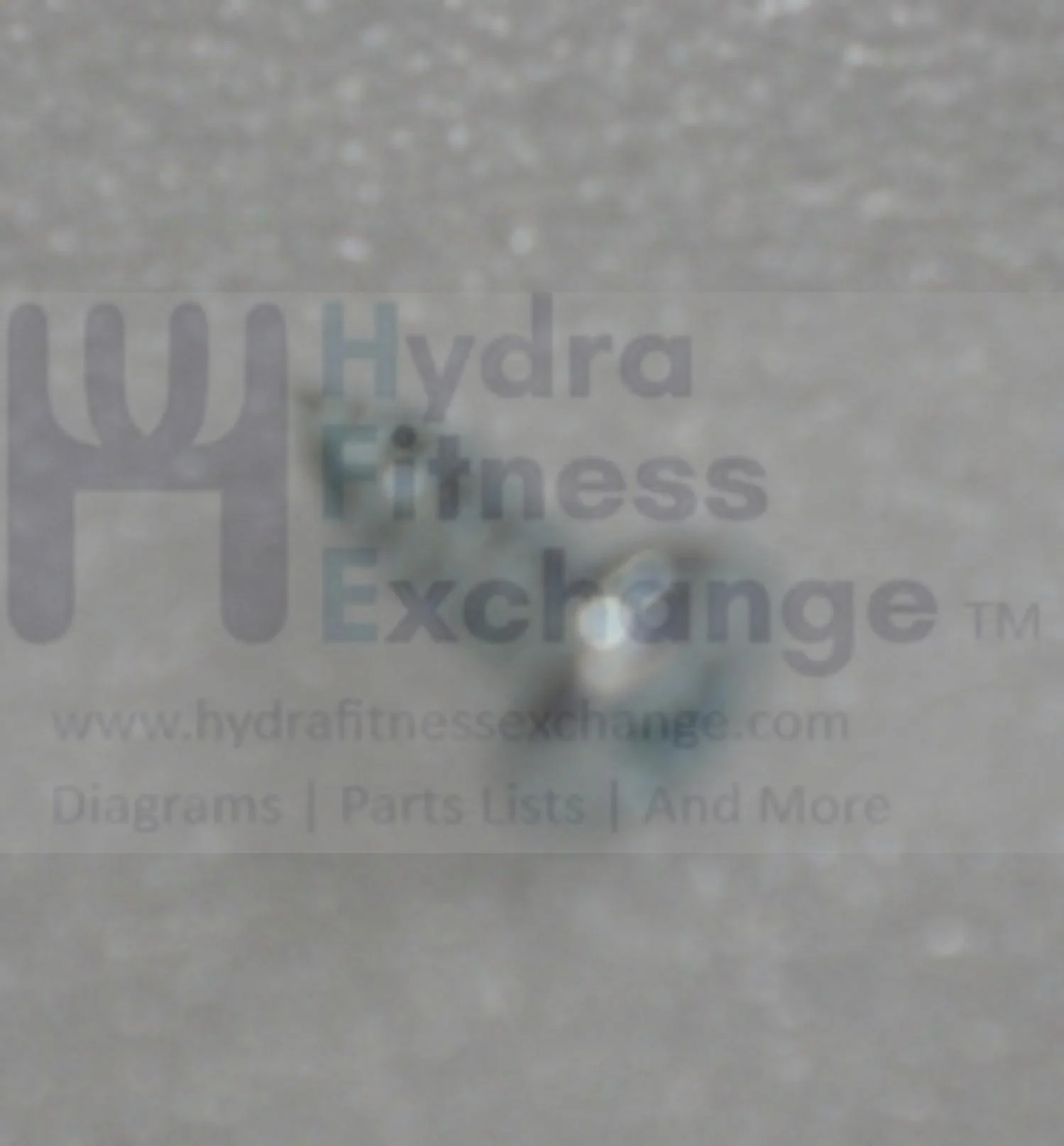 Horizon Fitness M4 - FC009 Stationary Bike Self Tapping Screw 1000337339