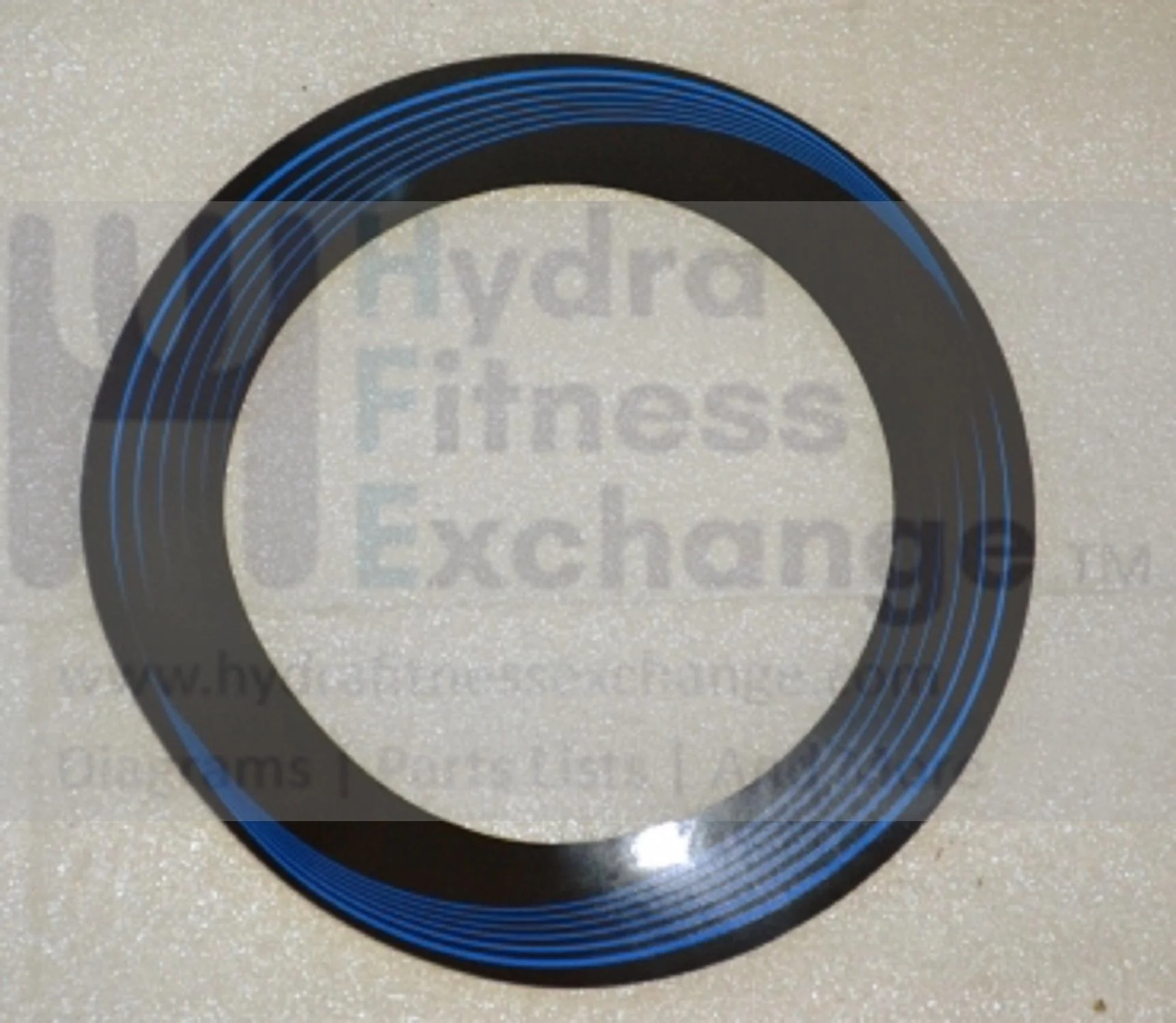Horizon Fitness M4 - FC009 Stationary Bike Side Cover Decal 1000308249