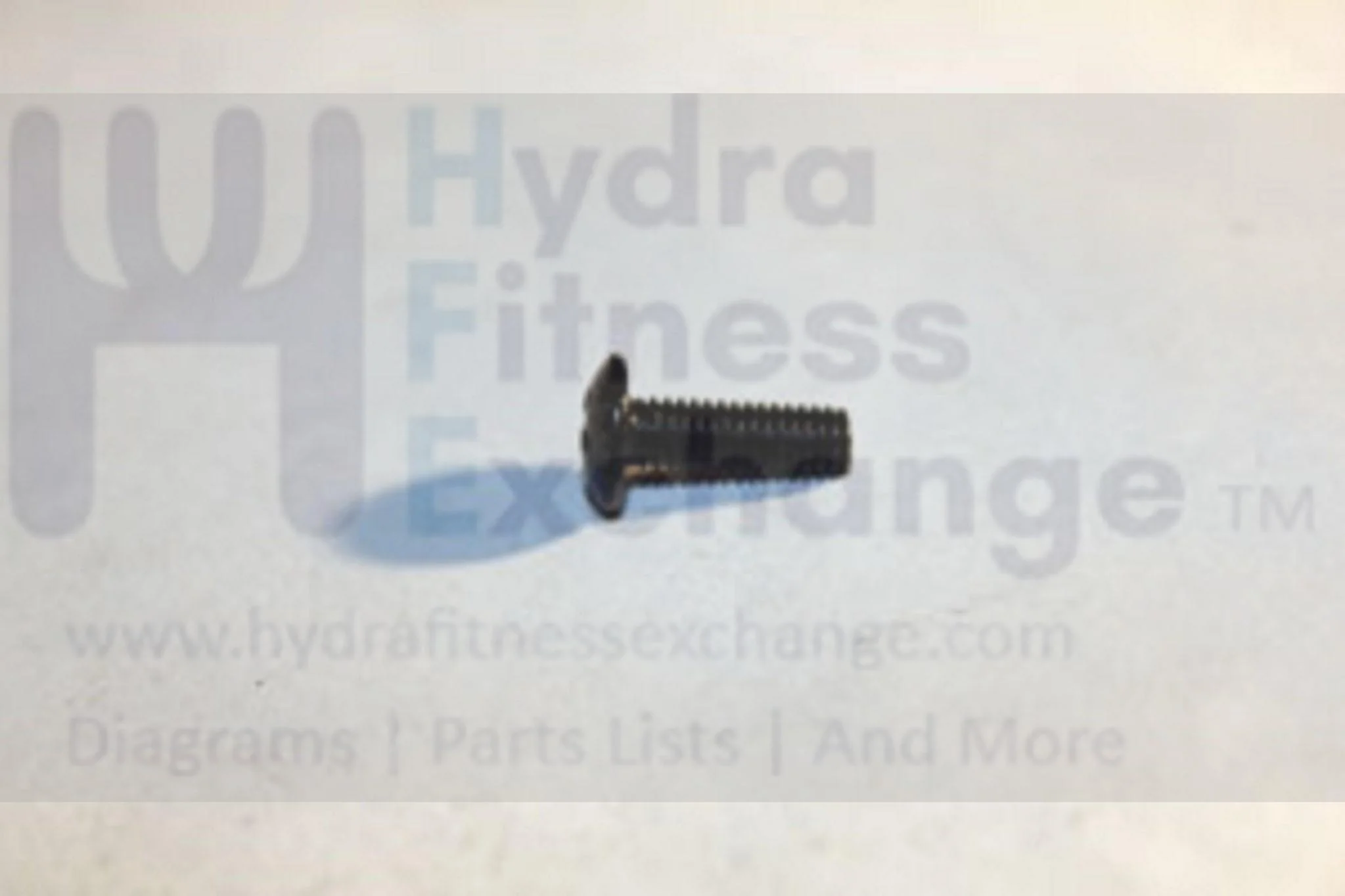 Horizon Fitness CE5.1 CE5.2 E1100GS EX58 EX59-3 EX59 T5x-05-G2 Elliptical Screw M4-0.7X12mm 020013-00 - Image 2