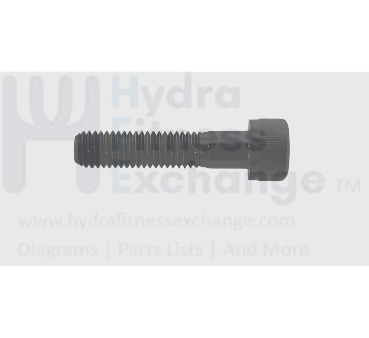 Matrix Fitness Elliptical Head Hex Socket Screw M10 - 1.5P x 45L 1000313185