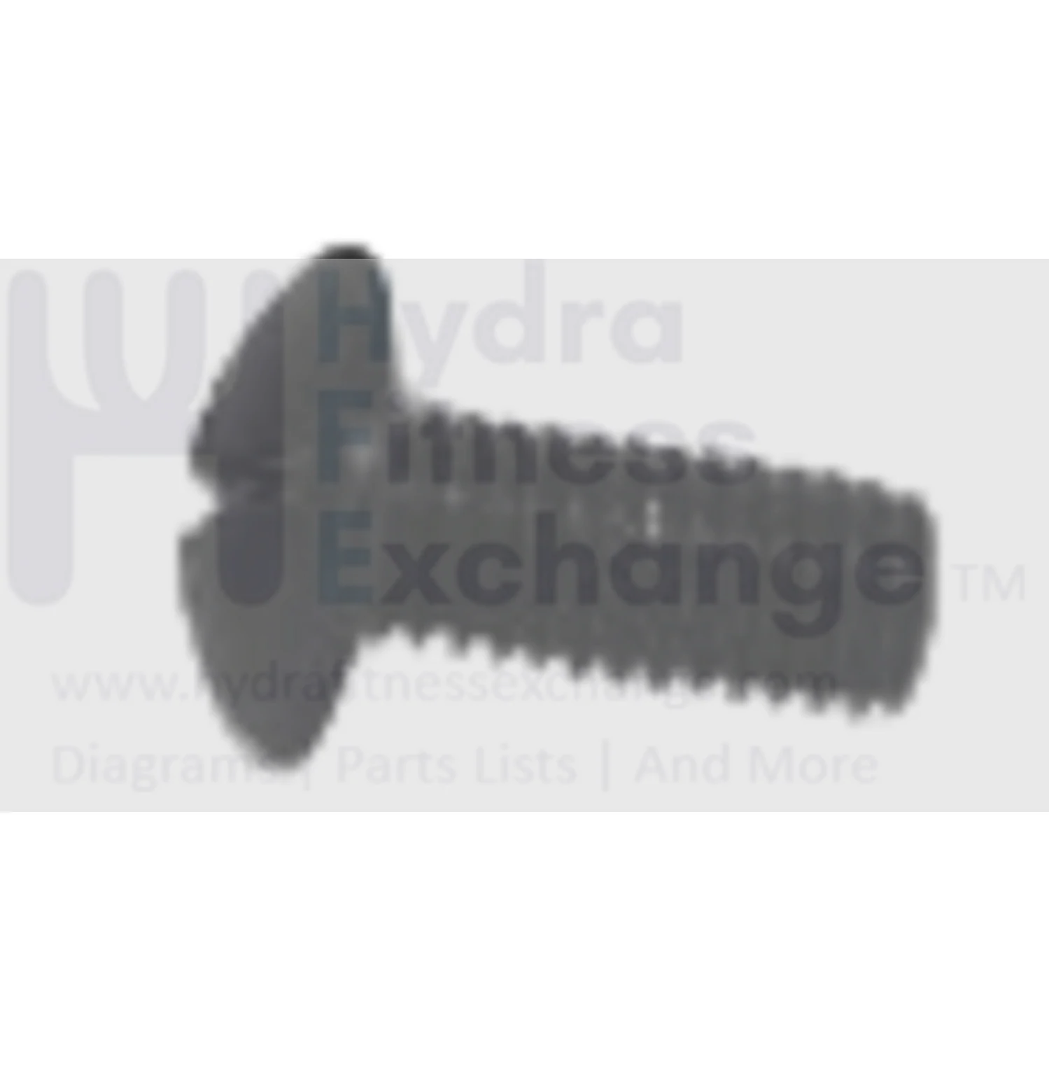 Horizon Fitness Matrix Retail Commercial Elliptical Screw M5x0.8Px12L 004354-00
