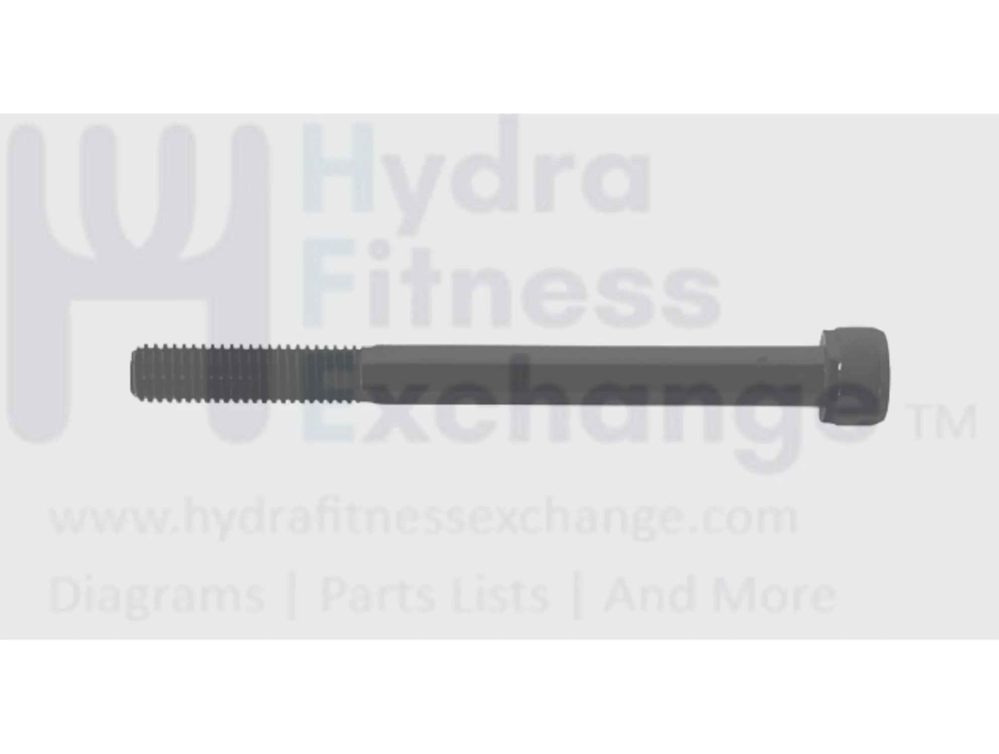 Matrix Fitness Elliptical Round Head Hex Socket Screw M10 - 1.5P x 110L/30L 1000313184
