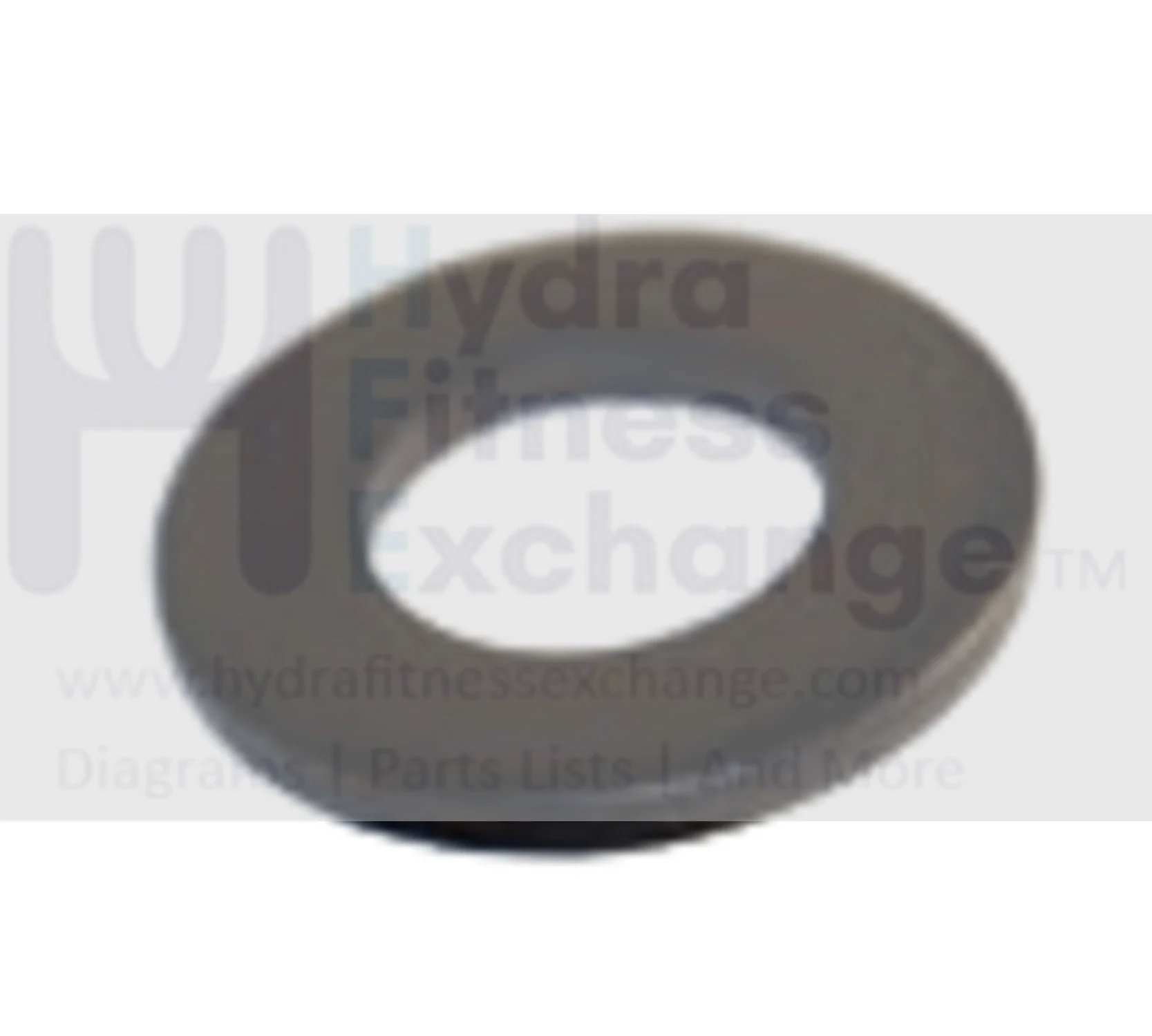 Horizon Fitness Matrix Retail Elliptical Flat Washer 0000083793