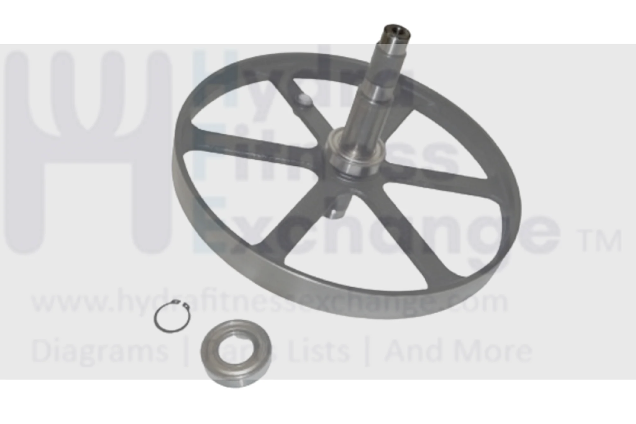Horizon Fitness Matrix Retail Endurance 300 A50-04 Elliptical Drive Flywheel Set Assembly 1000380657