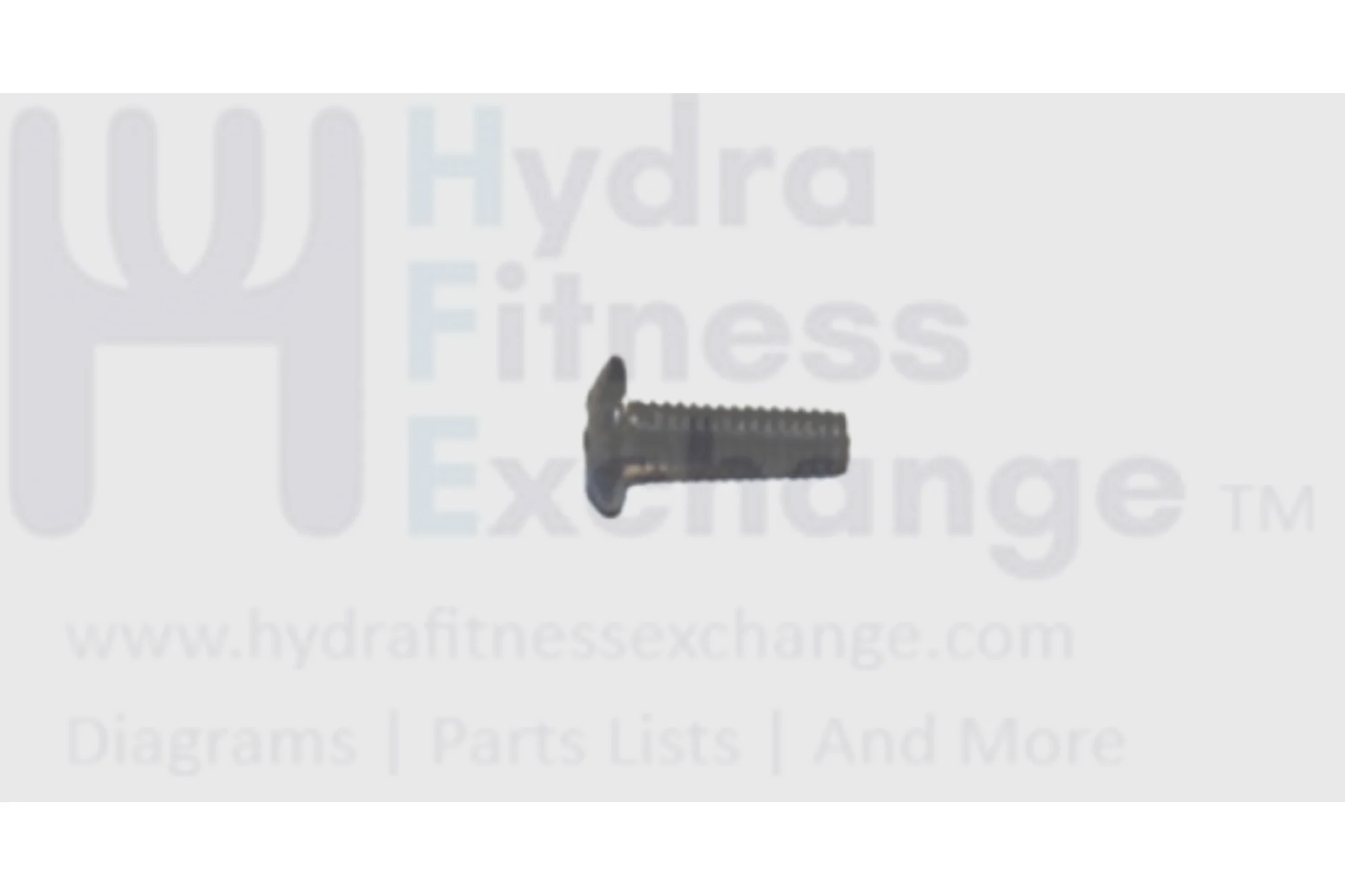 Horizon Fitness Matrix Retail Endurance 300 EX59-04 Elliptical Screw 020013-00