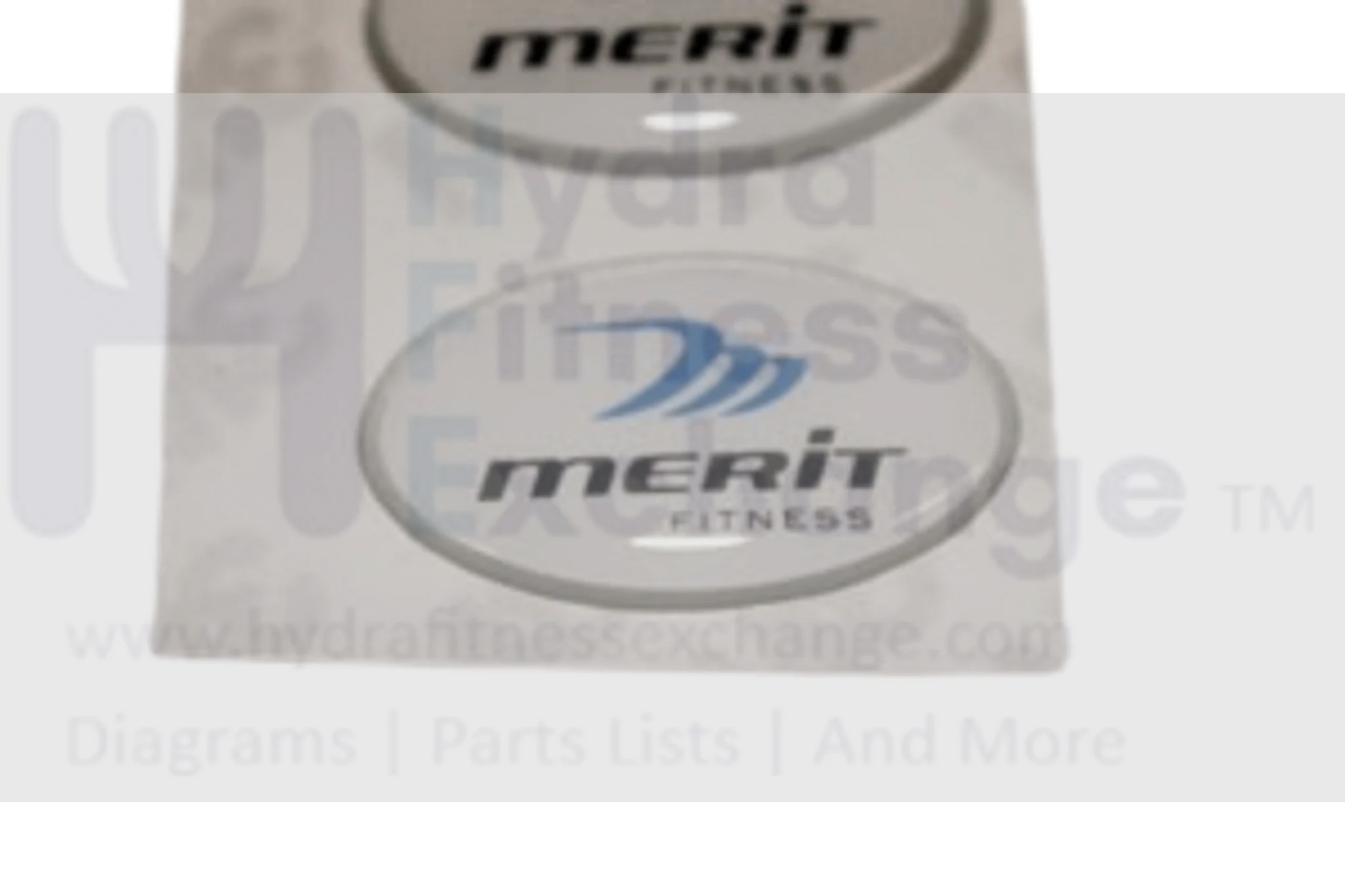Horizon Fitness Merit Treadmill Decal Console Logo 065085-AX