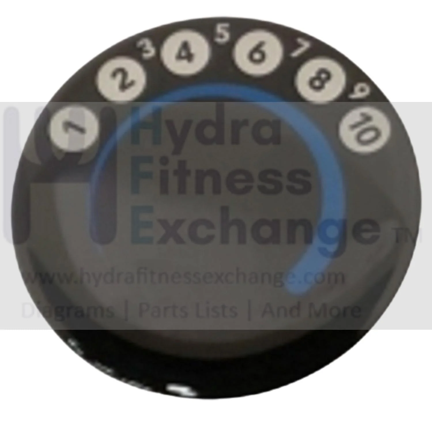 Horizon Fitness Rower Adjustable Indication Decal DIAM.50 1000412189