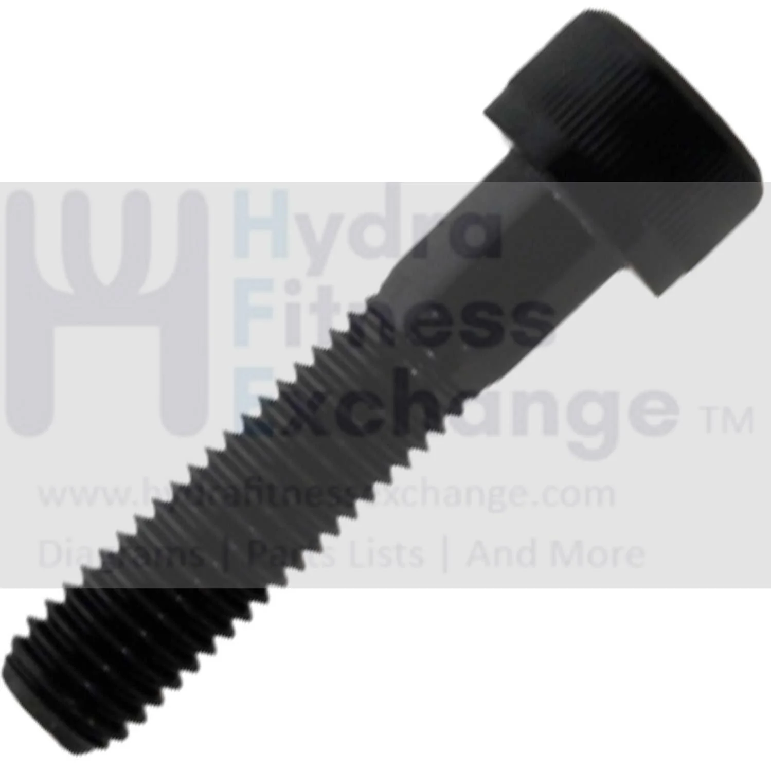 Horizon Fitness Oxford 6 - AR53 Rower Hex Socket Head Screw M10x1.5Px45L 1000313185