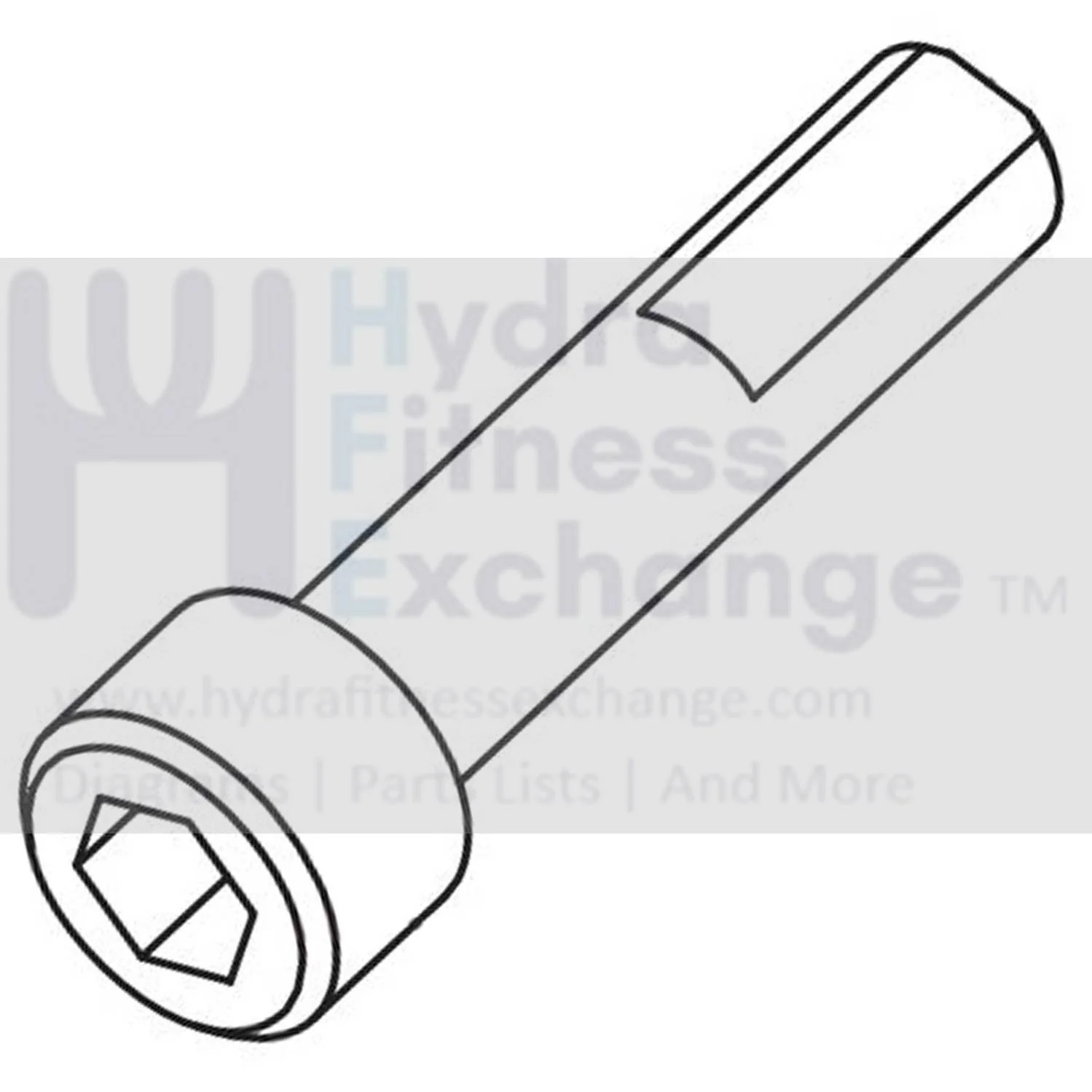 Horizon Fitness Oxford 6 - AR53 Rower Special Round Head Screw M10x1.5Px45L 1000415050