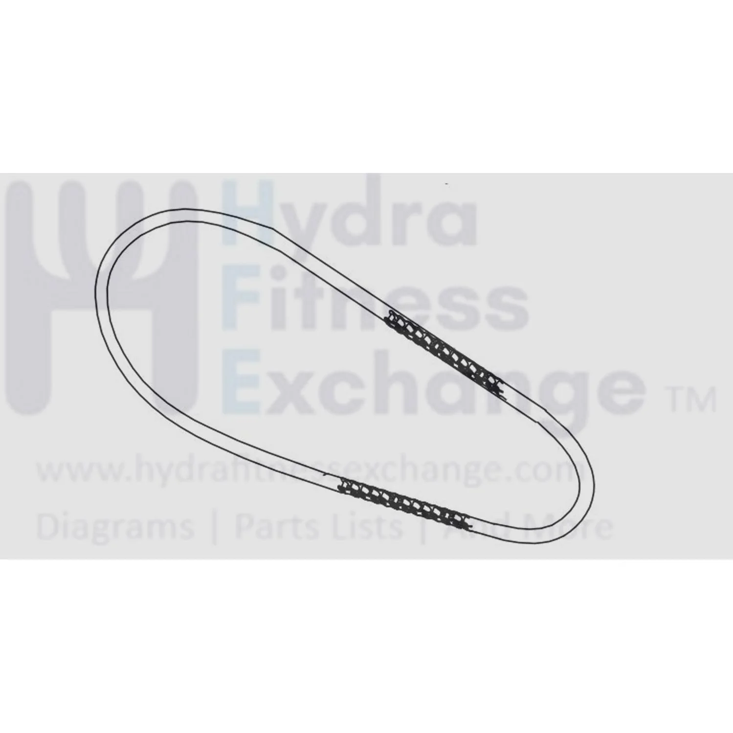 Horizon Fitness P8000 - FC16B Stationary Bike Drive Chain 080352