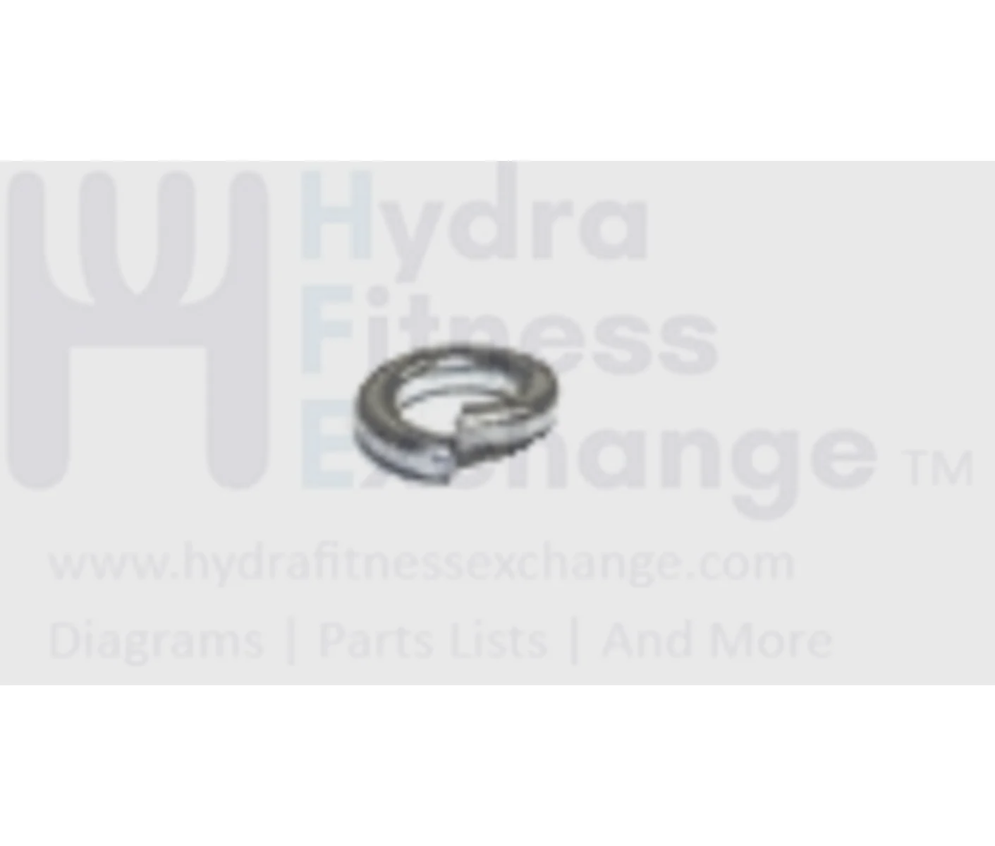 Horizon Fitness Performance Series PST6 PST8 Treadmill Spring Washer 019848-00