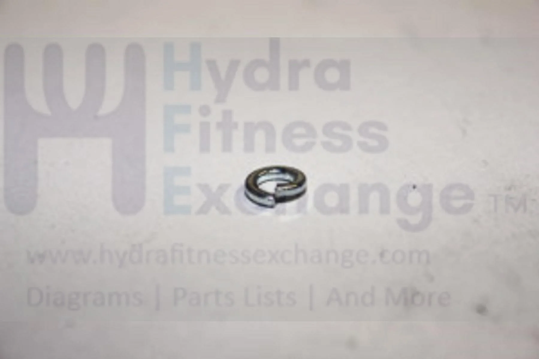 Horizon Fitness Performance Series PST6 PST8 Treadmill Spring Washer 019848-00 - Image 2