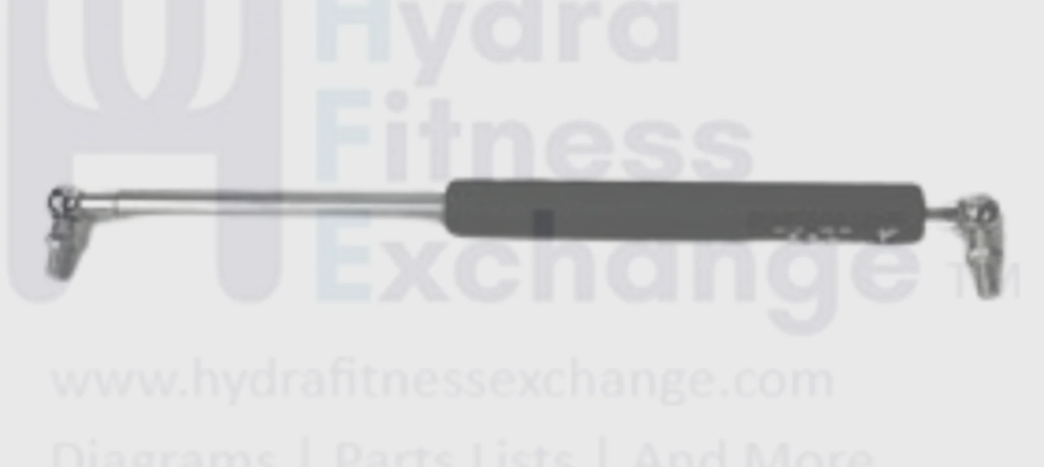 Horizon Fitness PTM110 TM75C TM27B TM60 TM76B Treadmill  Air Shock 009547-00