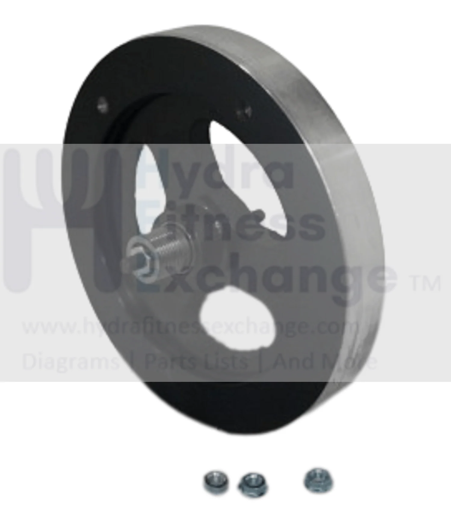 Horizon Fitness R7 U7 RB018 UB Stationary Bike Magnetic Brake Resistance Flywheel Set 1000353803 Formerly 1000352928