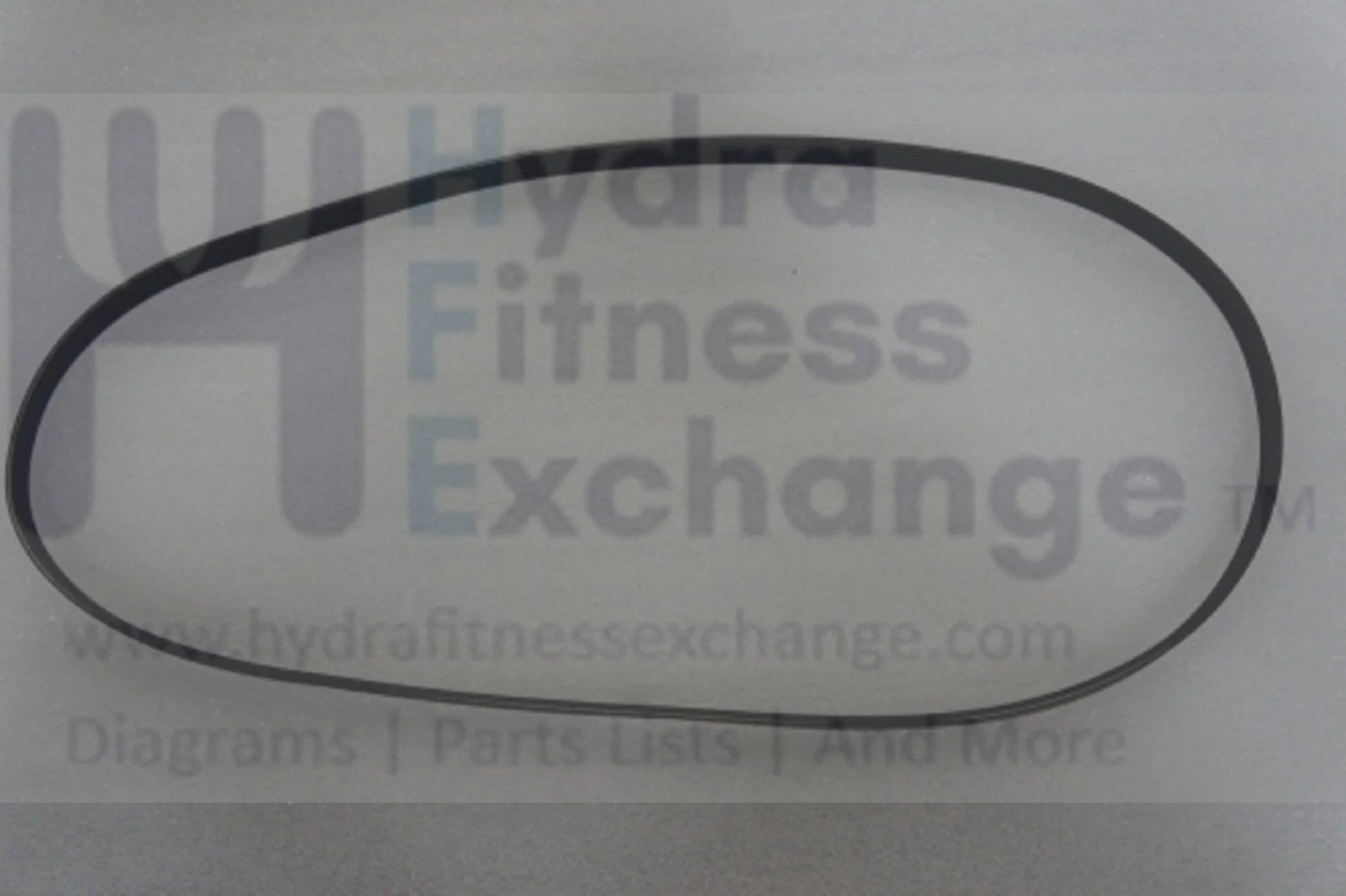Horizon Fitness R7 U7 RB018 UB Stationary Bike Motor Drive Belt 1000352933 - Image 2