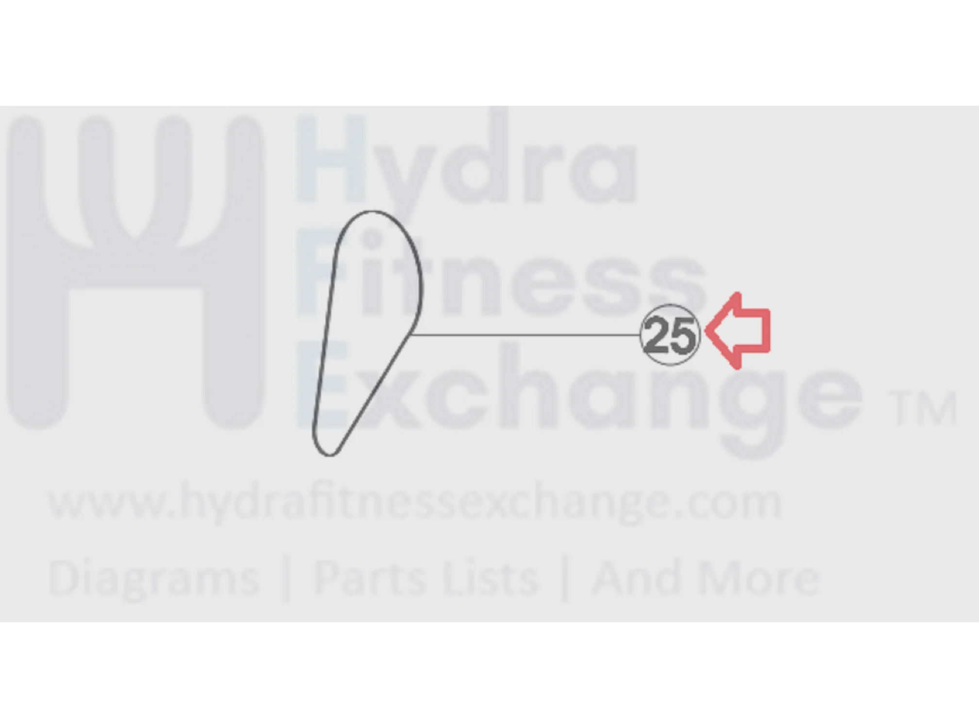 Horizon Fitness R7 U7 RB018 UB Stationary Bike Motor Drive Belt 1000352933 - Image 3