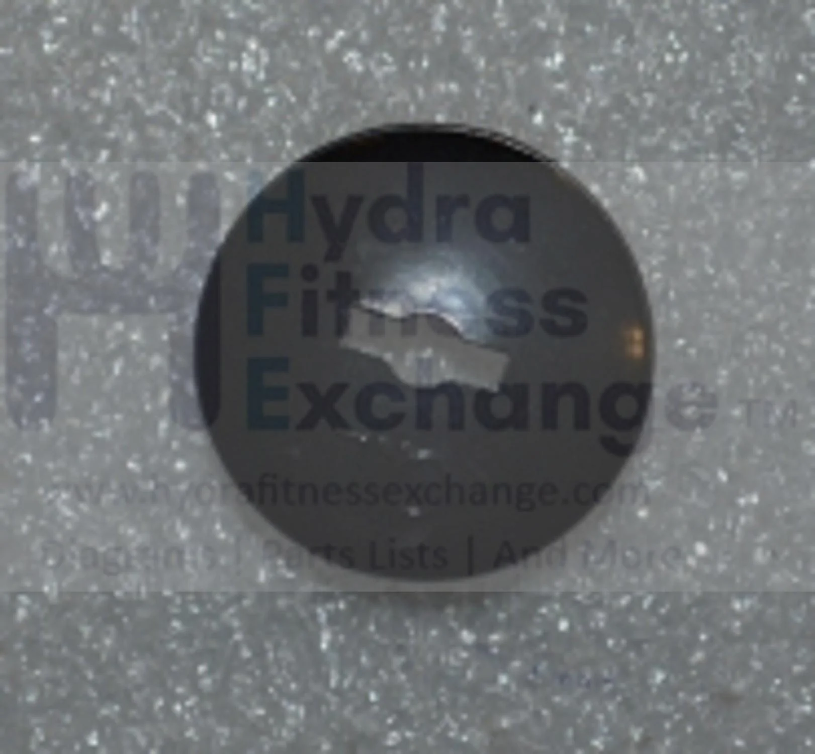 Horizon Fitness RB013 CB037 Stationary Bike Crank Arm End Cap 1000324724 - Image 2
