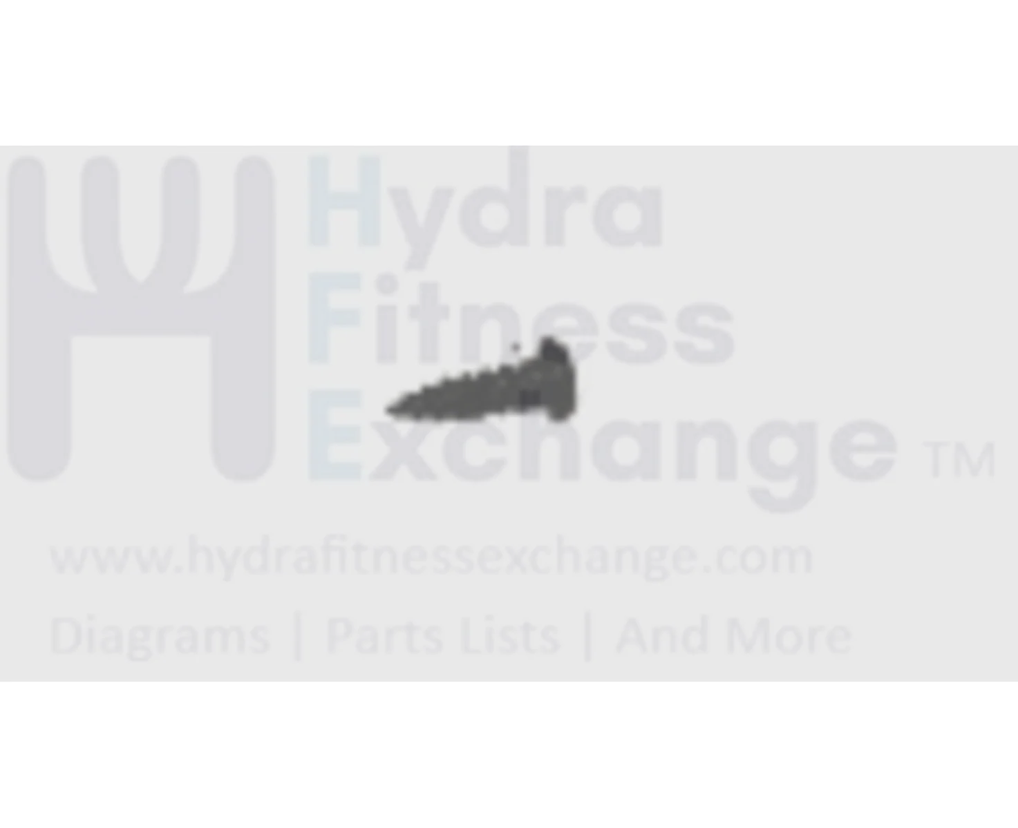 Horizon Fitness RCT7.6 Treadmill Round Screw 2.5x8l 049266-A