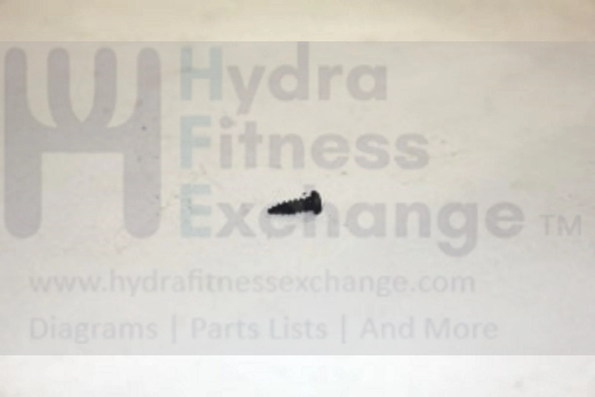 Horizon Fitness RCT7.6 Treadmill Round Screw 2.5x8l 049266-A - Image 2