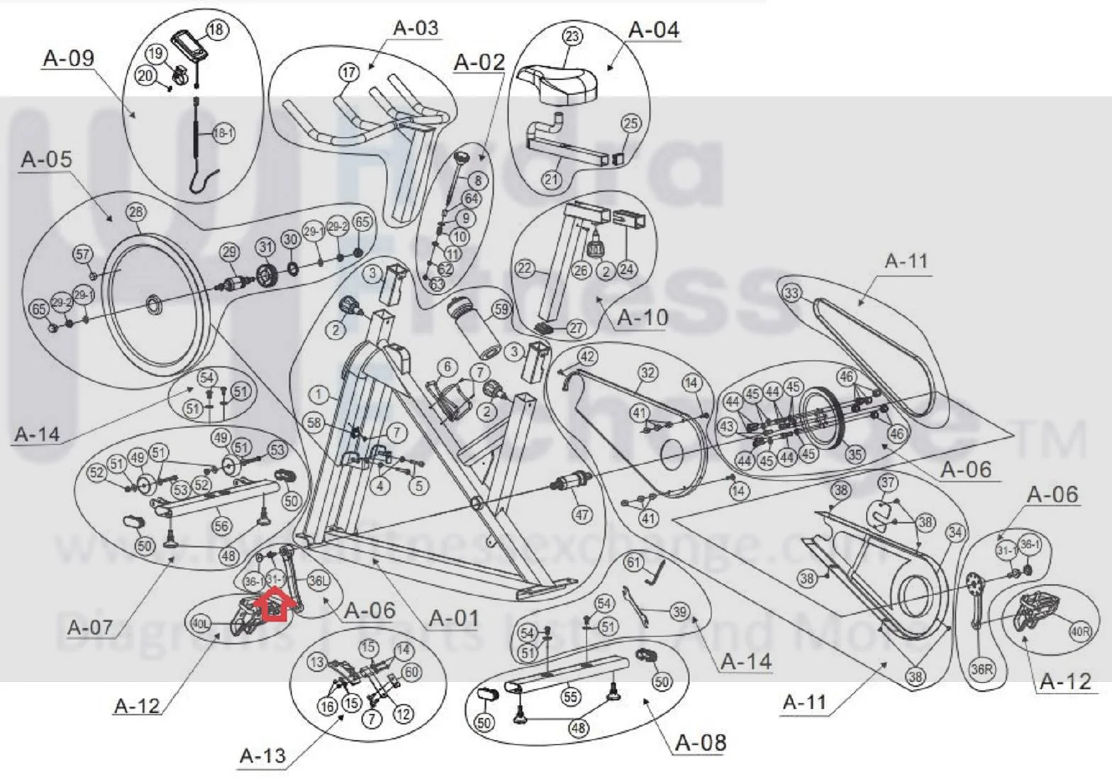 Horizon Fitness FC009 FC052 FC060 Stationary Bike Bolt M8 x 25L 1000204263 - Image 3