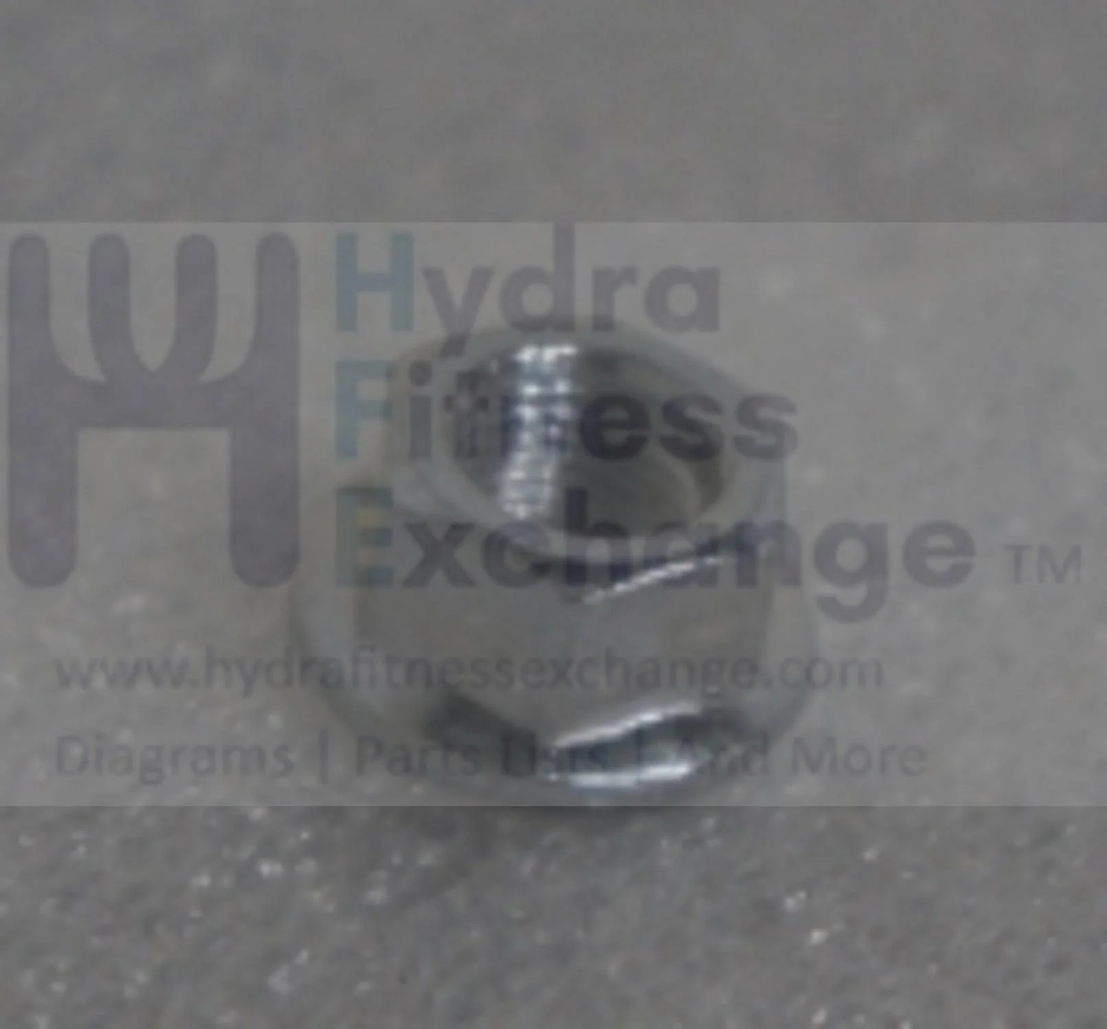 Horizon Fitness S3+ - FC052 Stationary Bike Flange Nut 1000392582