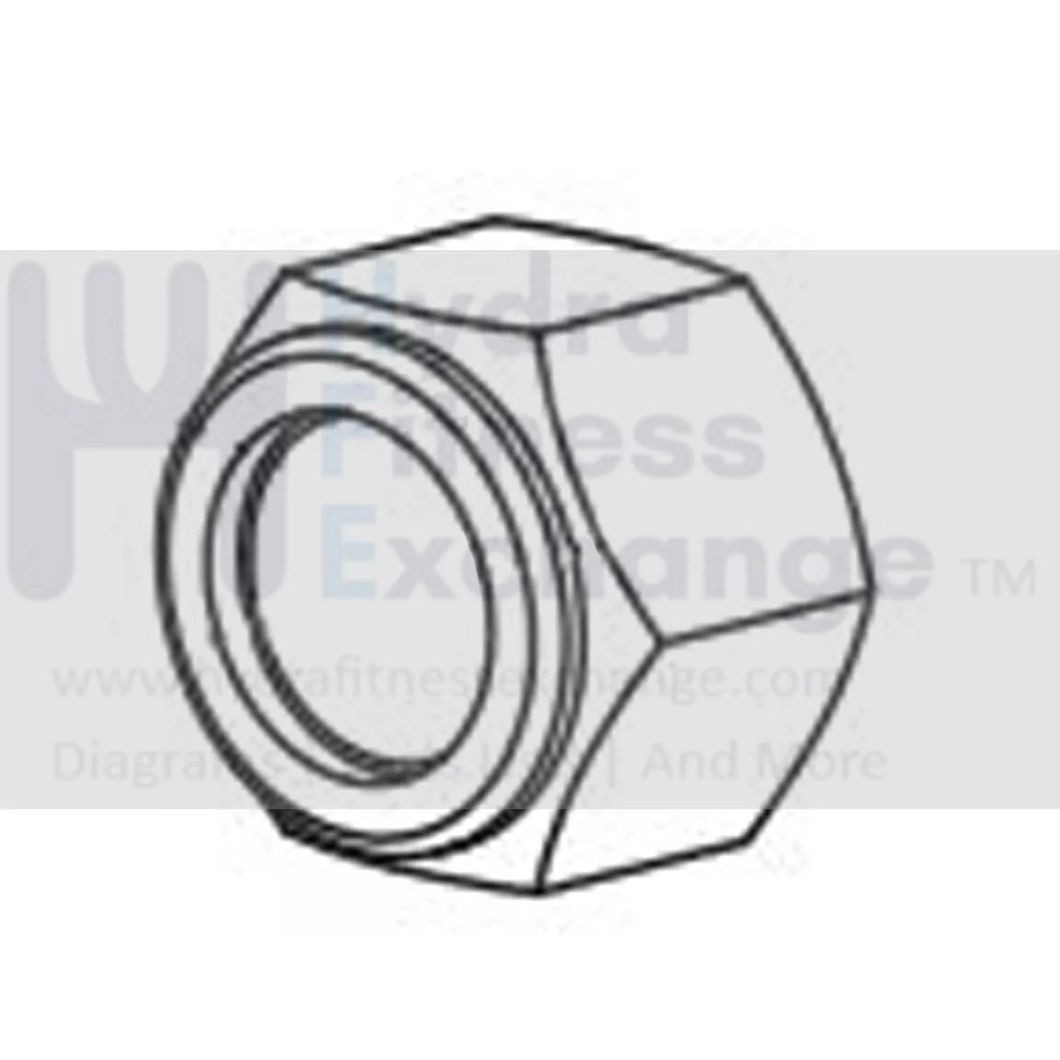 Horizon Fitness S3+ - FC052 Stationary Bike Lock Nut 1000362449