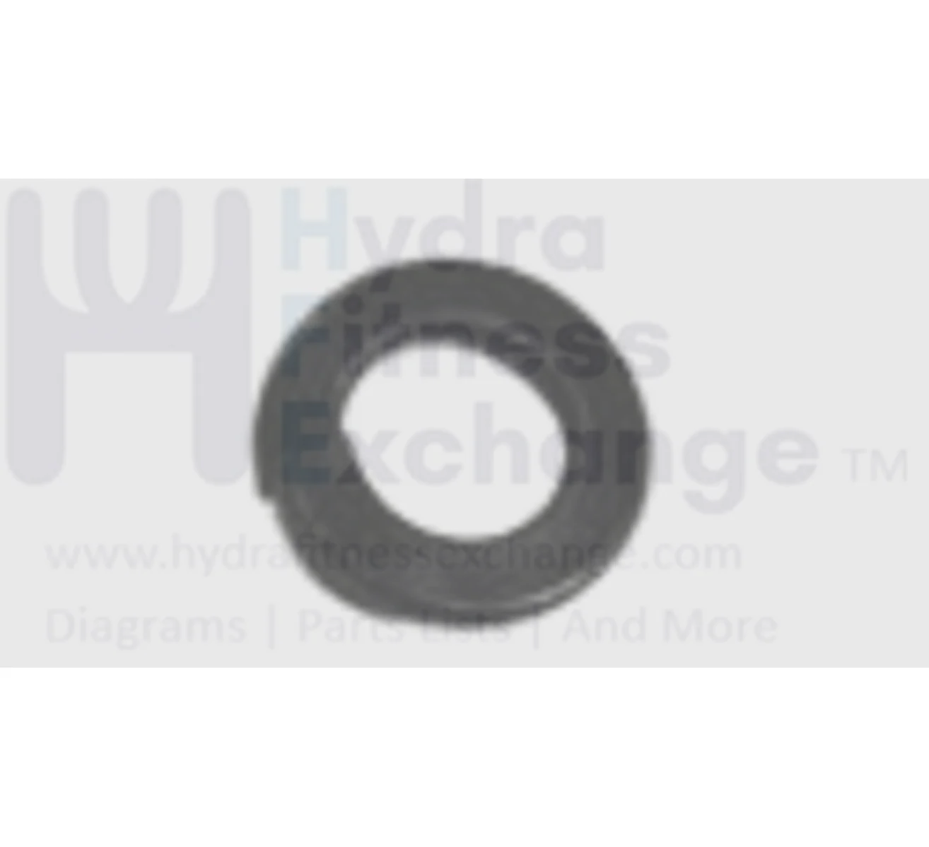 Horizon Fitness SC2250T Treadmill Split Washer 8.2X15.4X1.0T 020420-A