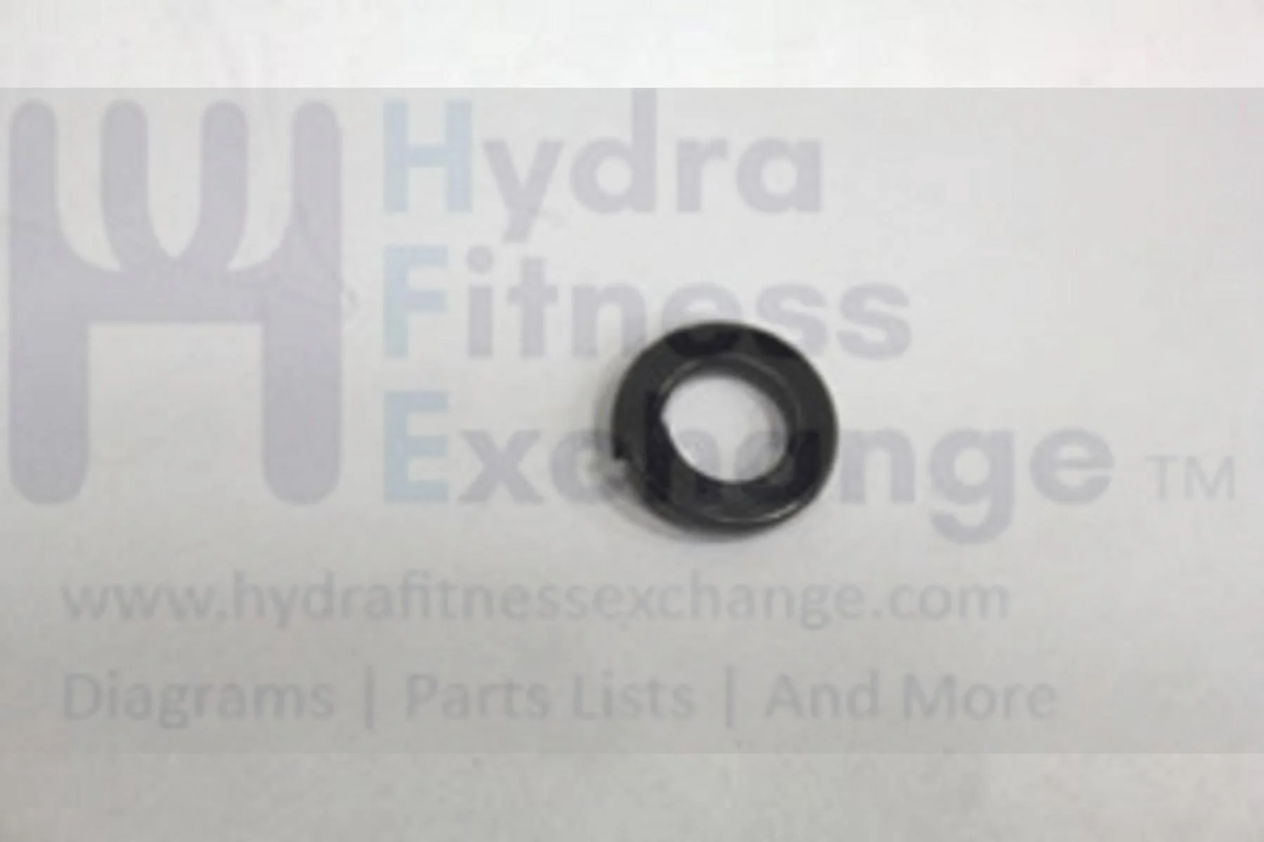 Horizon Fitness SC2250T Treadmill Split Washer 8.2X15.4X1.0T 020420-A - Image 2